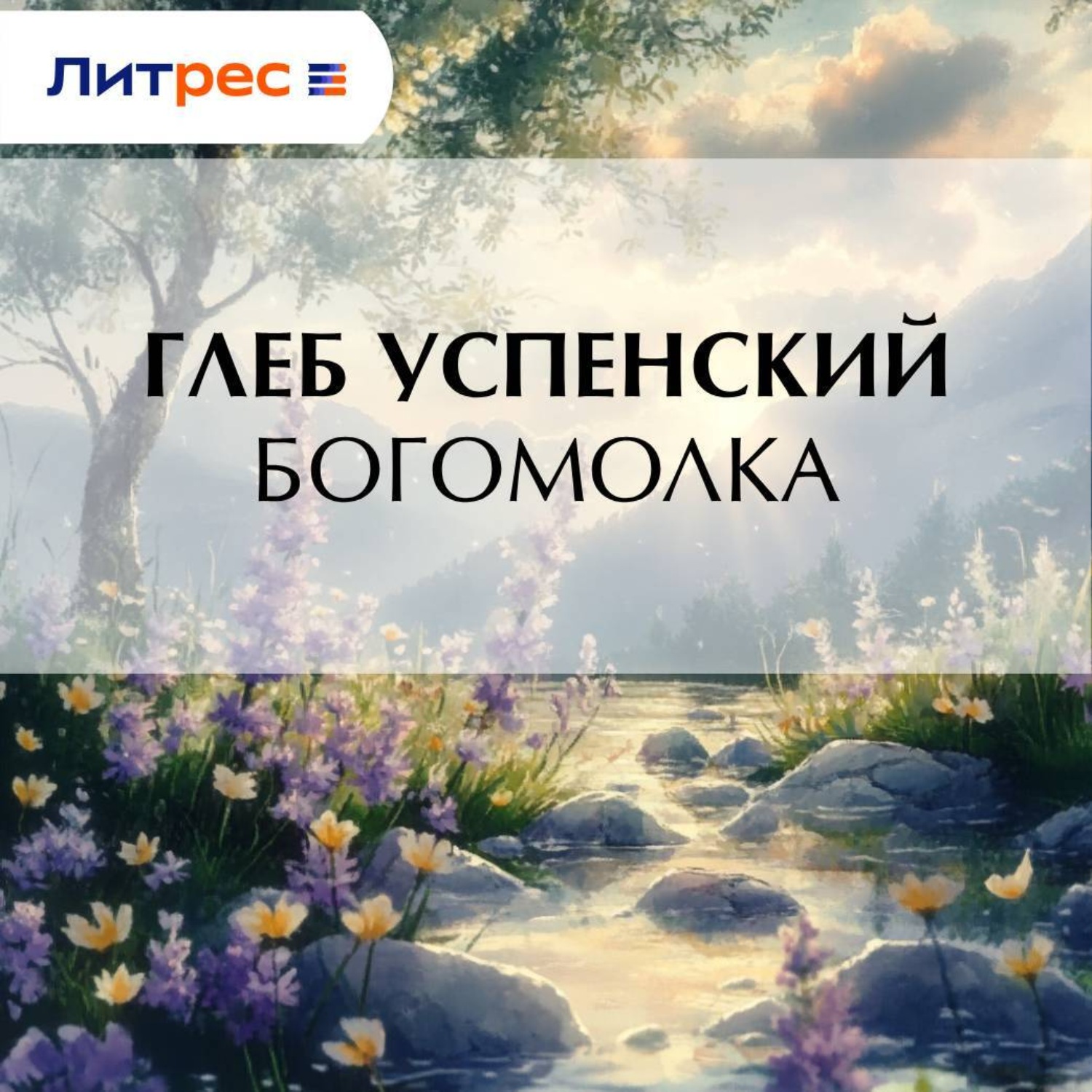 Обложка книги «Богомолка»