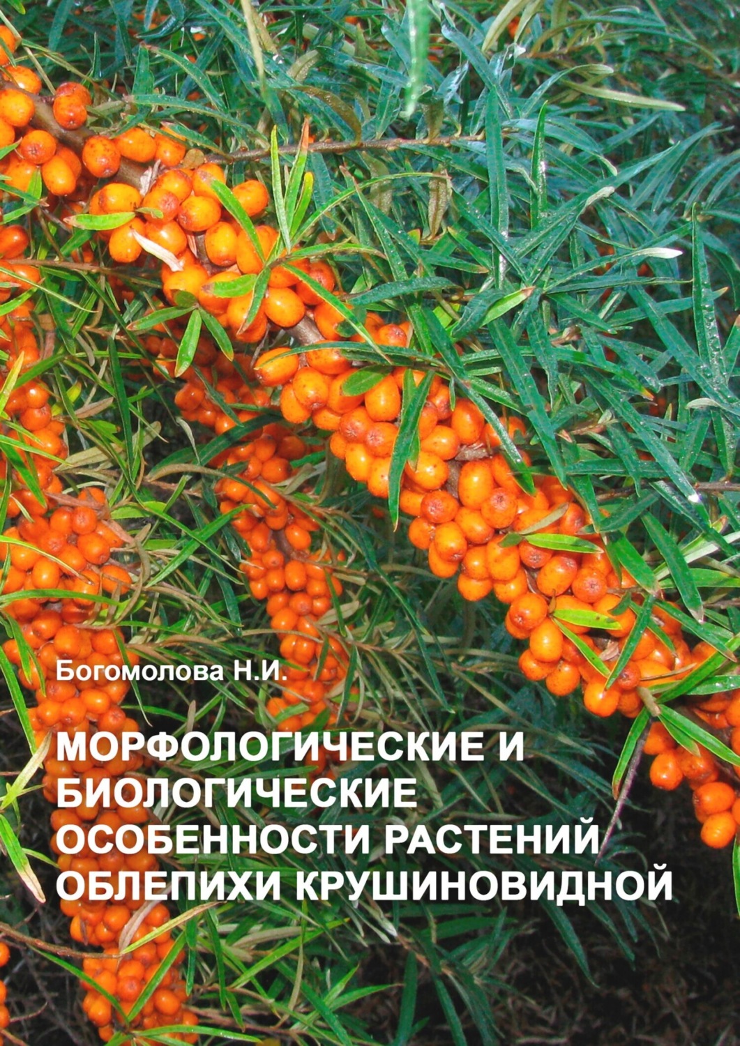Обложка книги «Морфологические и биологические особенности растений облепихи крушиновидной»