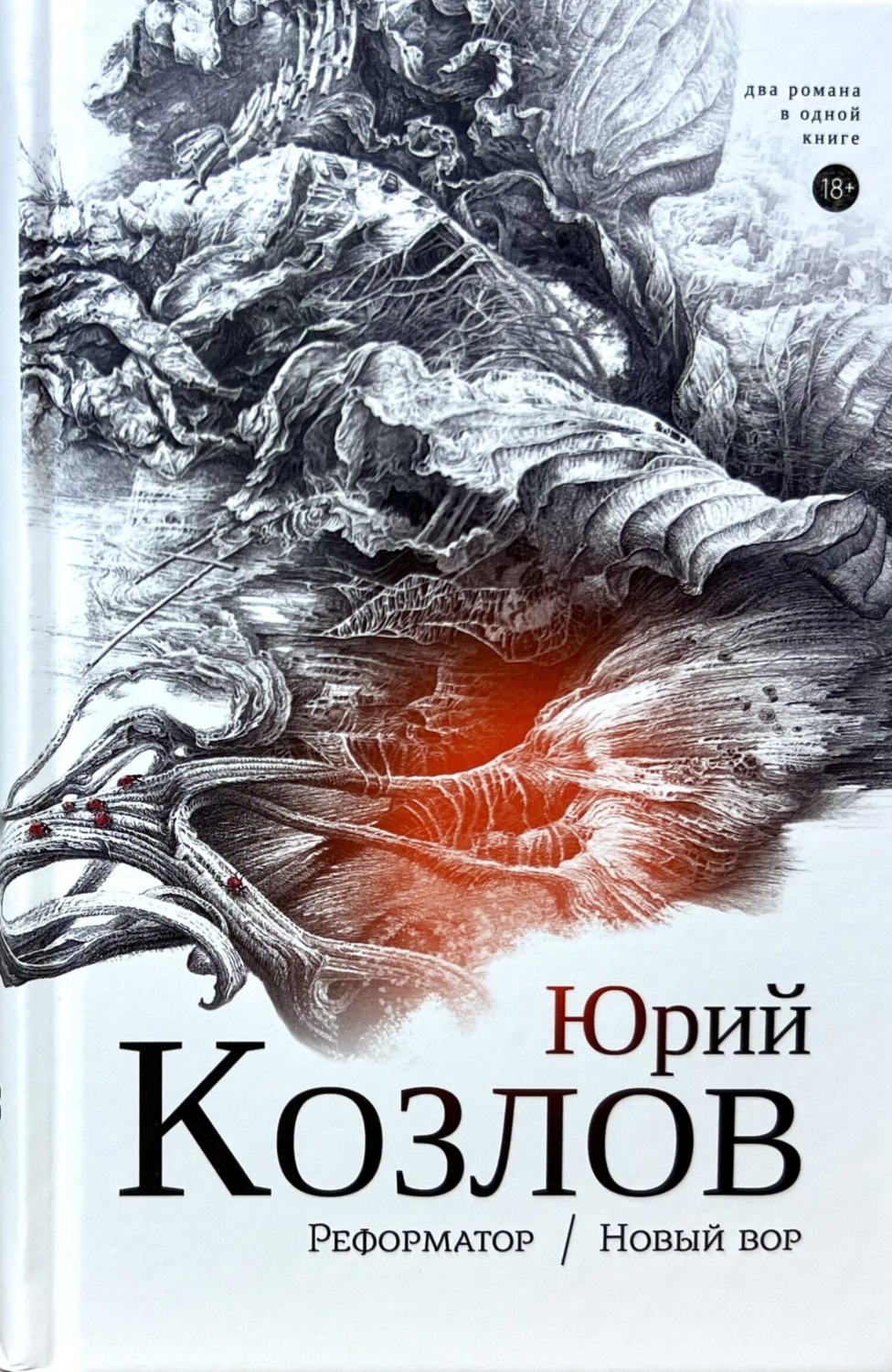 Обложка книги «Реформатор. Новый вор. Том 2.»