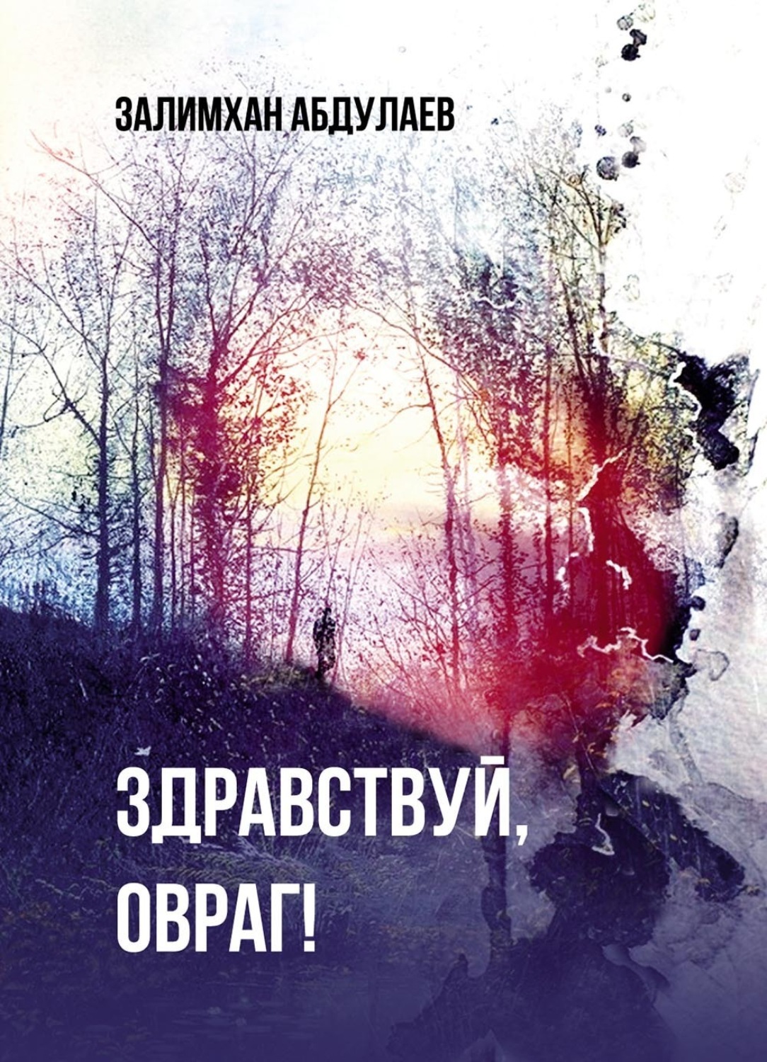 Обложка книги «Здравствуй, овраг!»