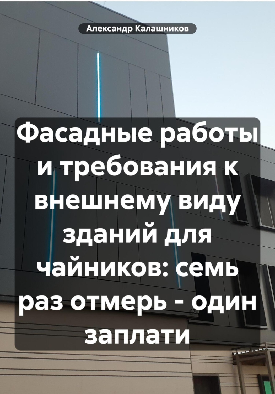 Обложка книги «Фасадные работы и требования к внешнему виду зданий: семь раз отмерь – один заплати»