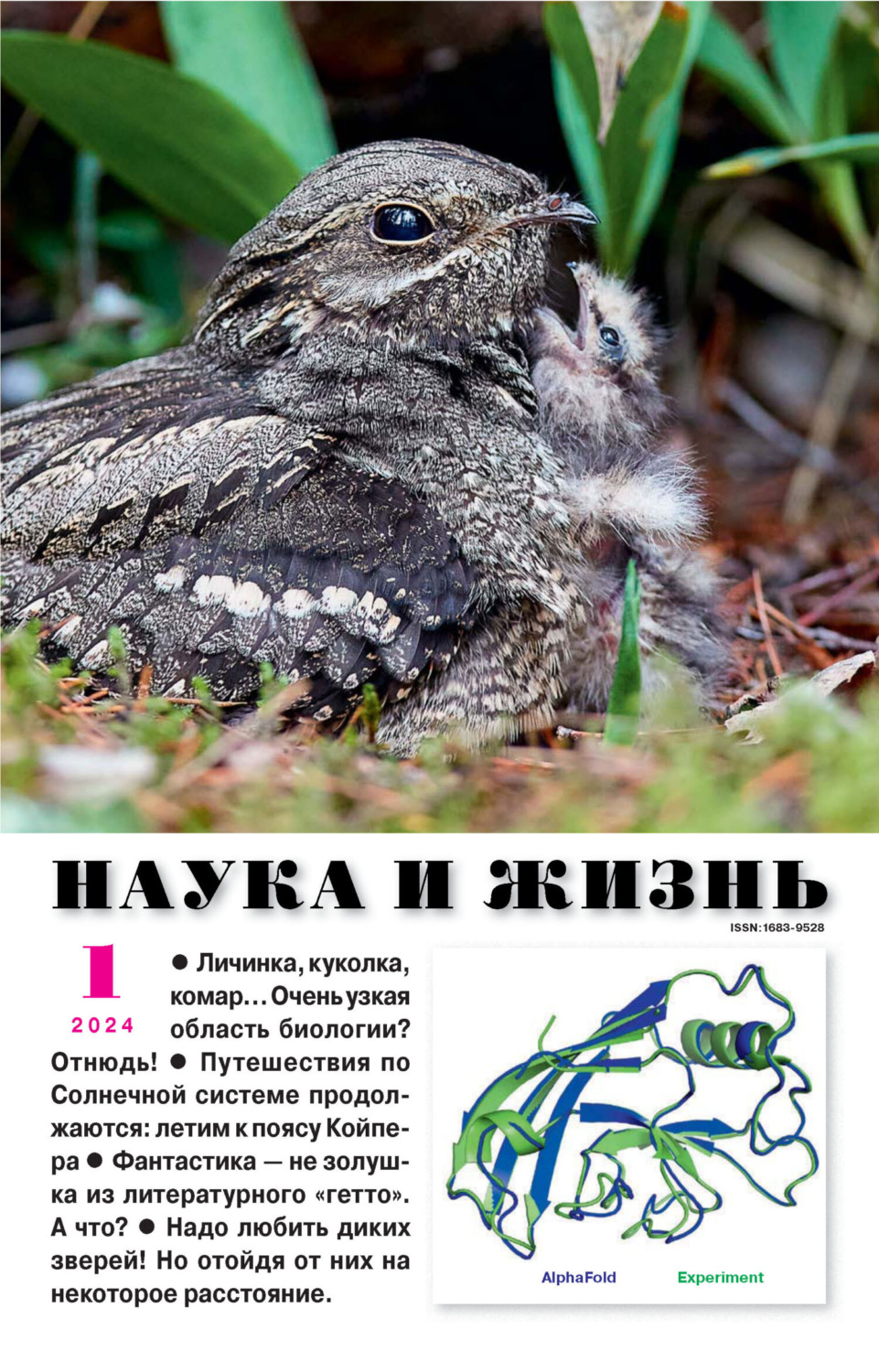Обложка книги «Наука и жизнь №01/2024»
