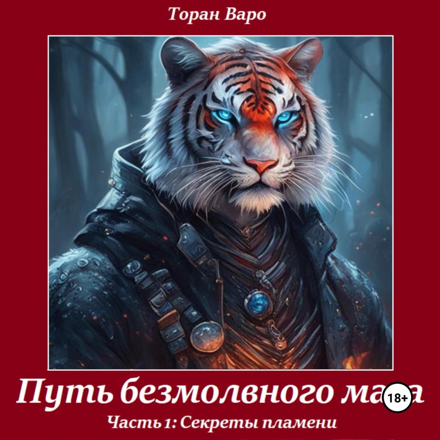 Обложка книги «Путь безмолвного мага. Часть 1 – Секреты пламени»