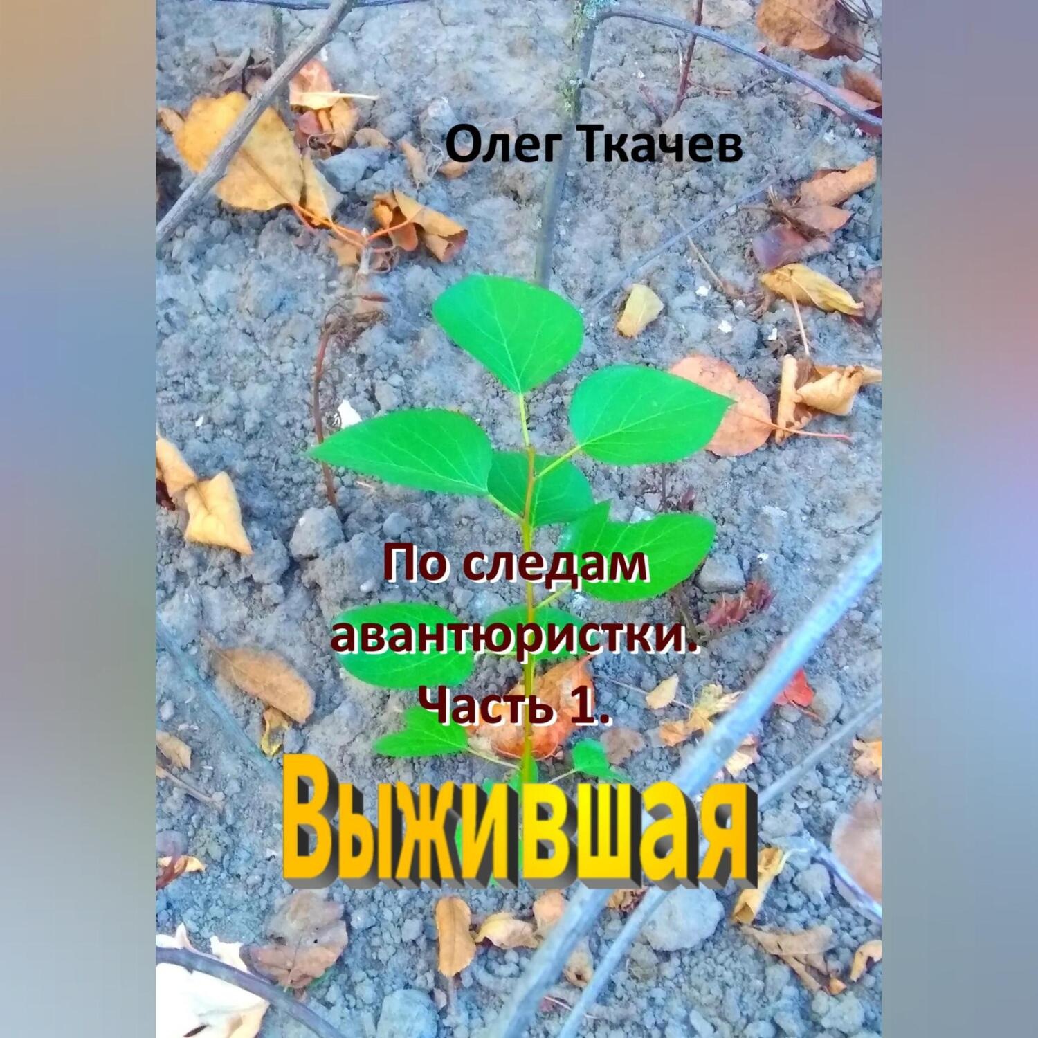 Обложка книги «По следам авантюристки. Часть 1. Выжившая»