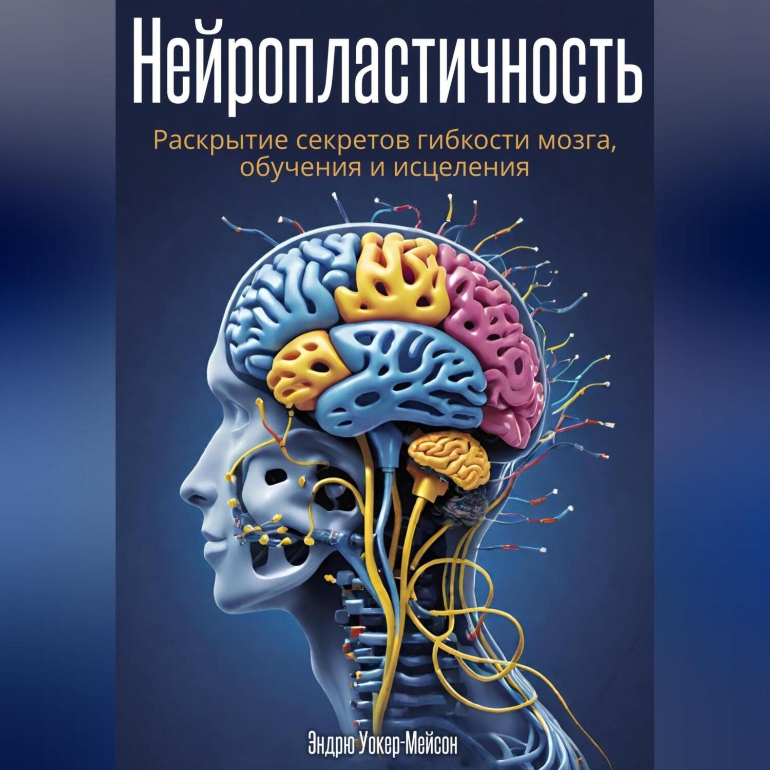 Обложка книги «Нейропластичность: Раскрытие секретов гибкости мозга, обучения и исцеления»