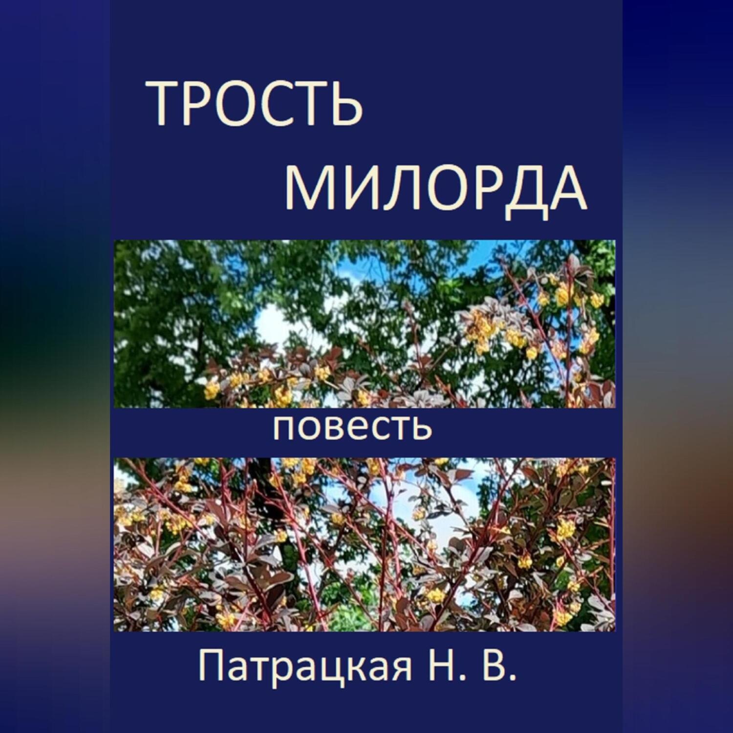 Обложка книги «Трость милорда»