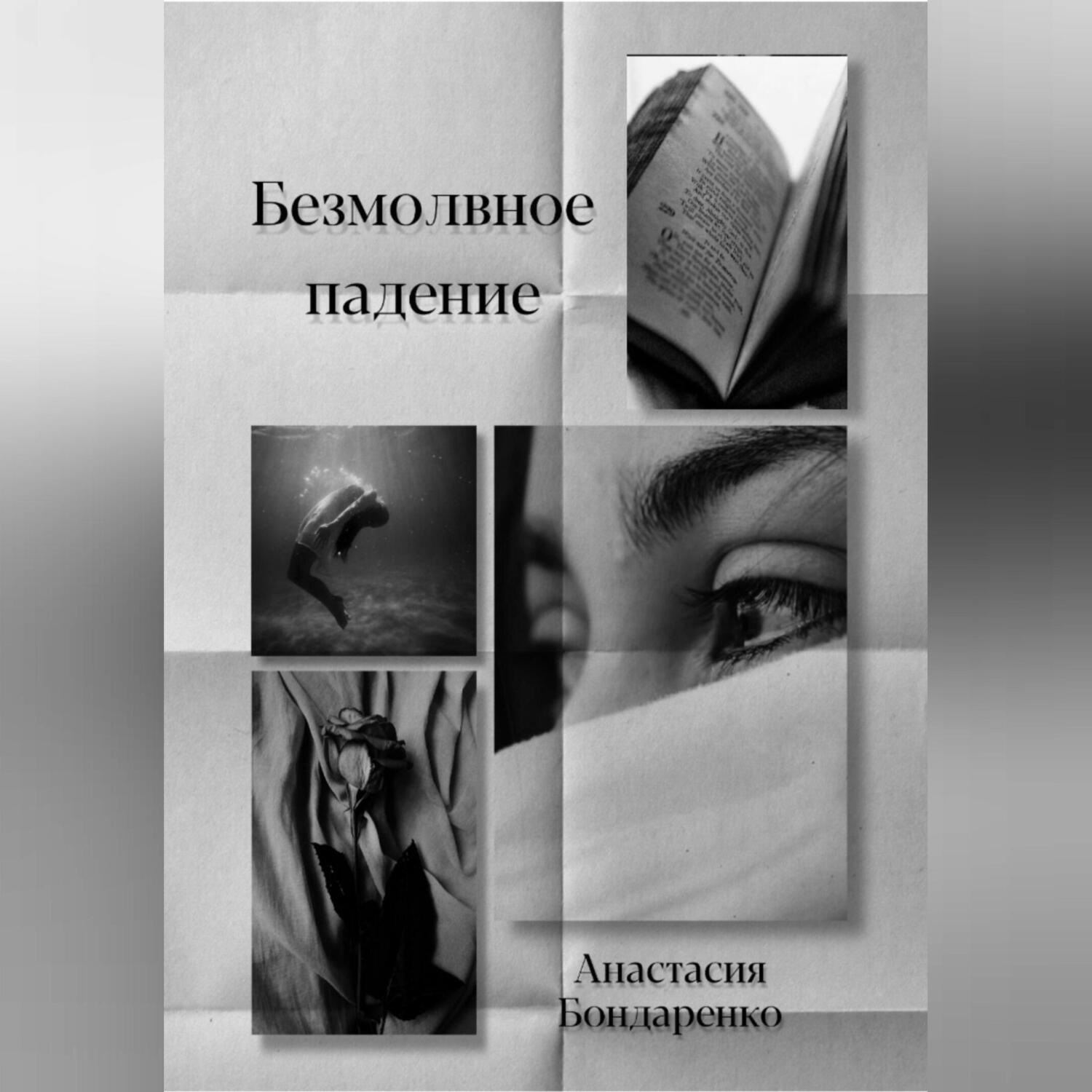 Обложка книги «Безмолвное падение»