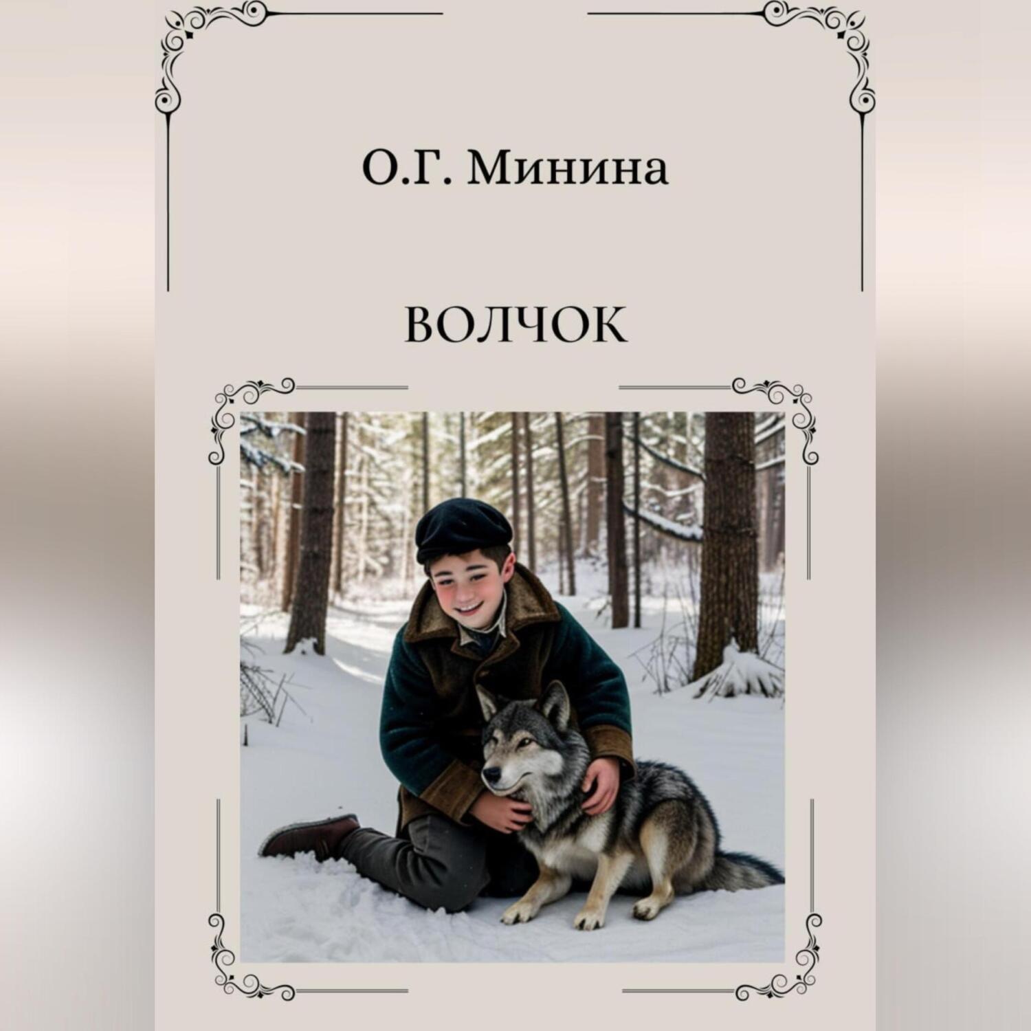 Обложка книги «Волчок»