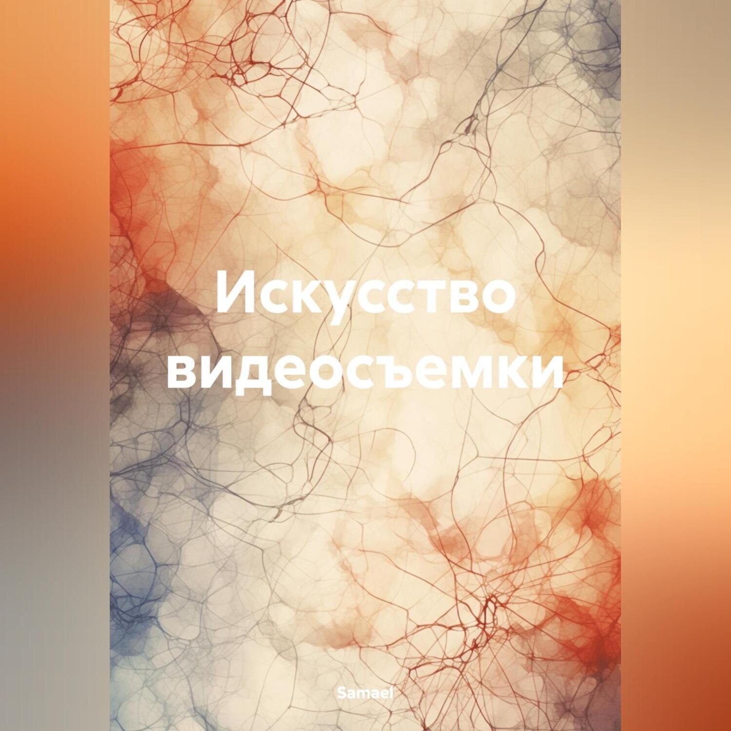 Обложка книги «Искусство видеосъемки»