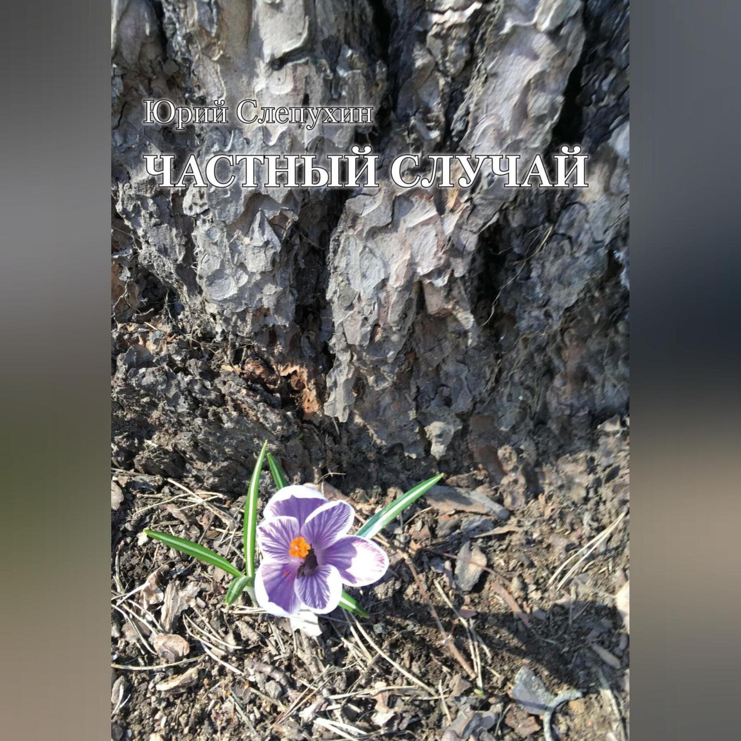 Обложка книги «Частный случай»