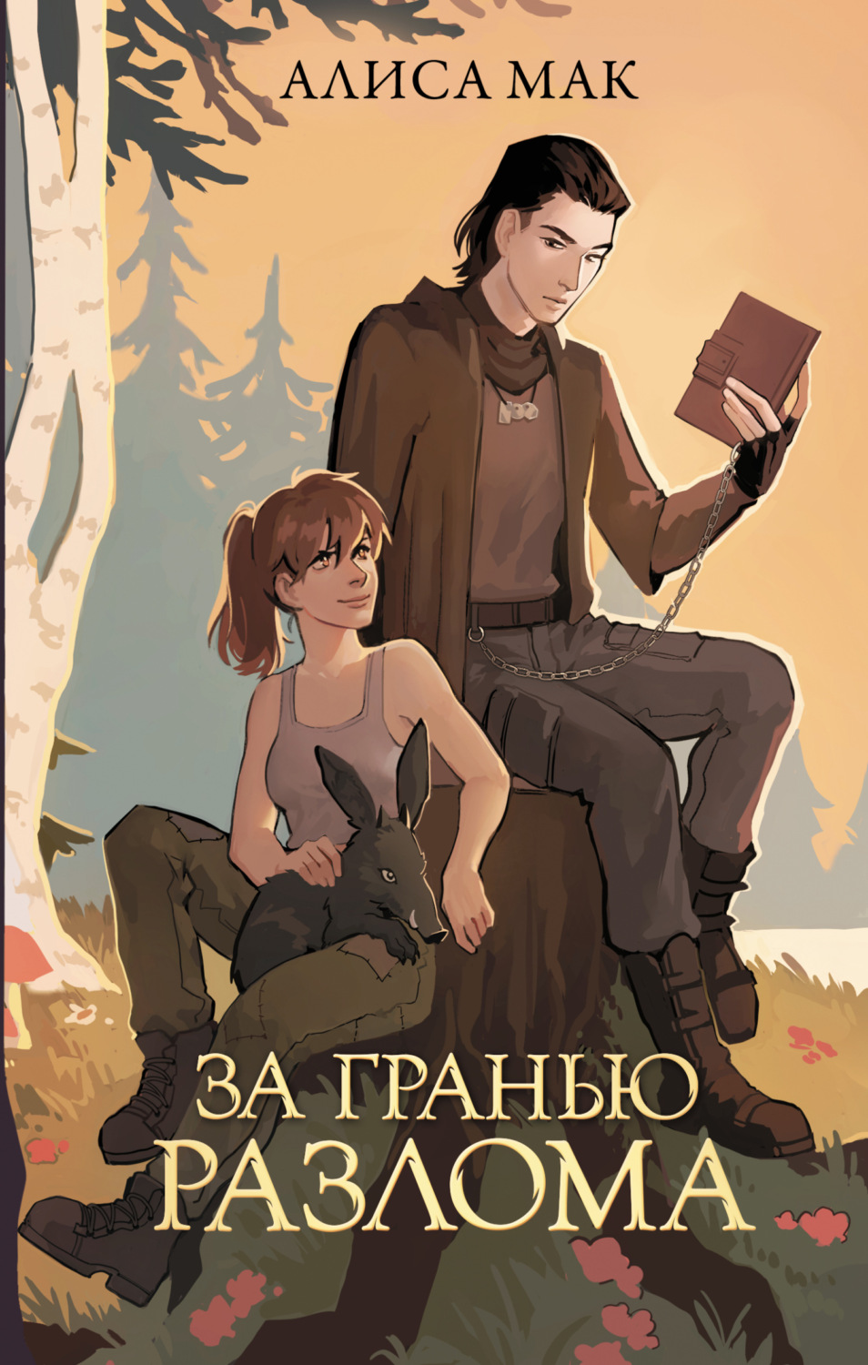 Обложка книги «За гранью Разлома»