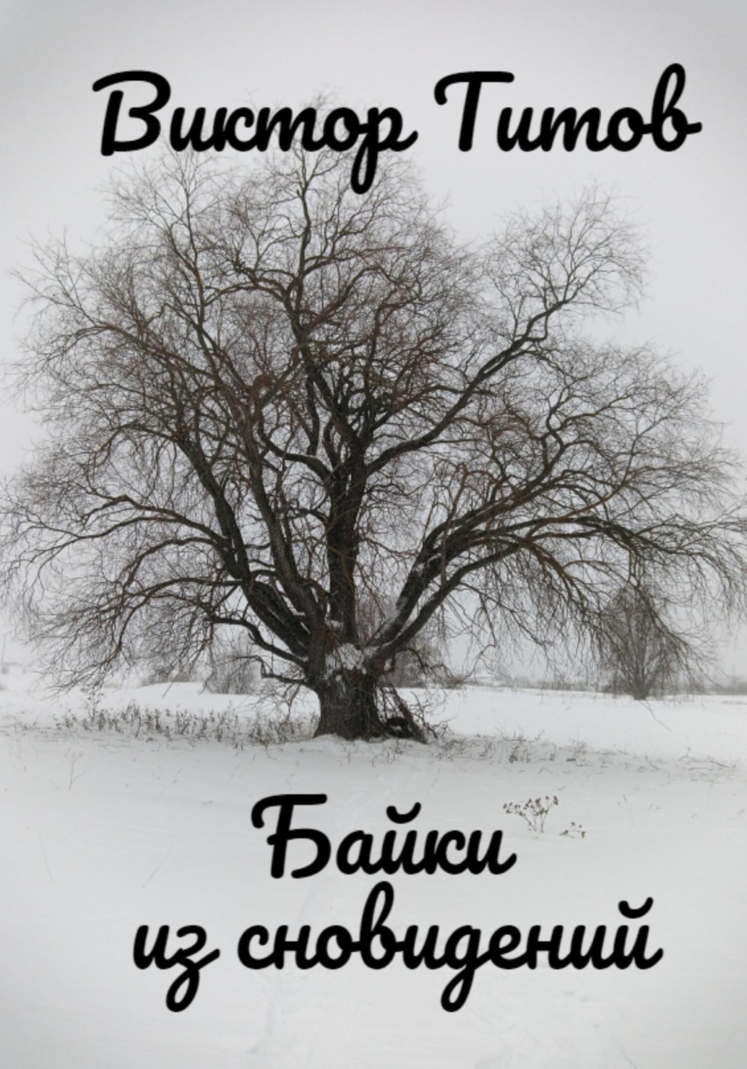 Обложка книги «Байки из сновидений»