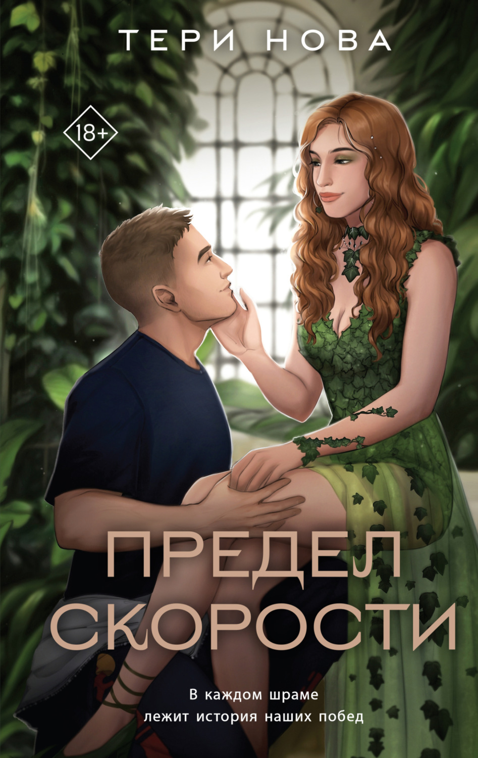 Обложка книги «Предел скорости»