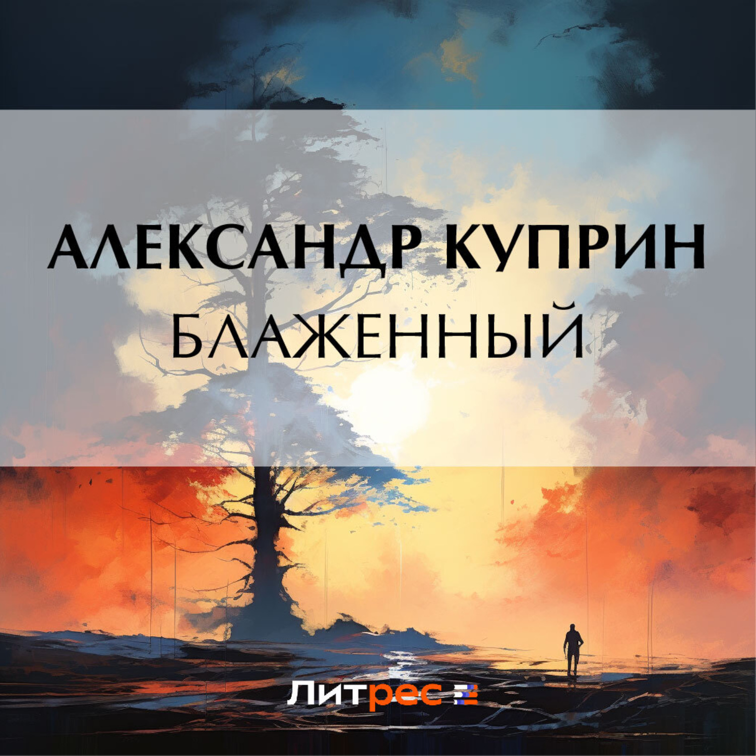 Обложка книги «Блаженный»