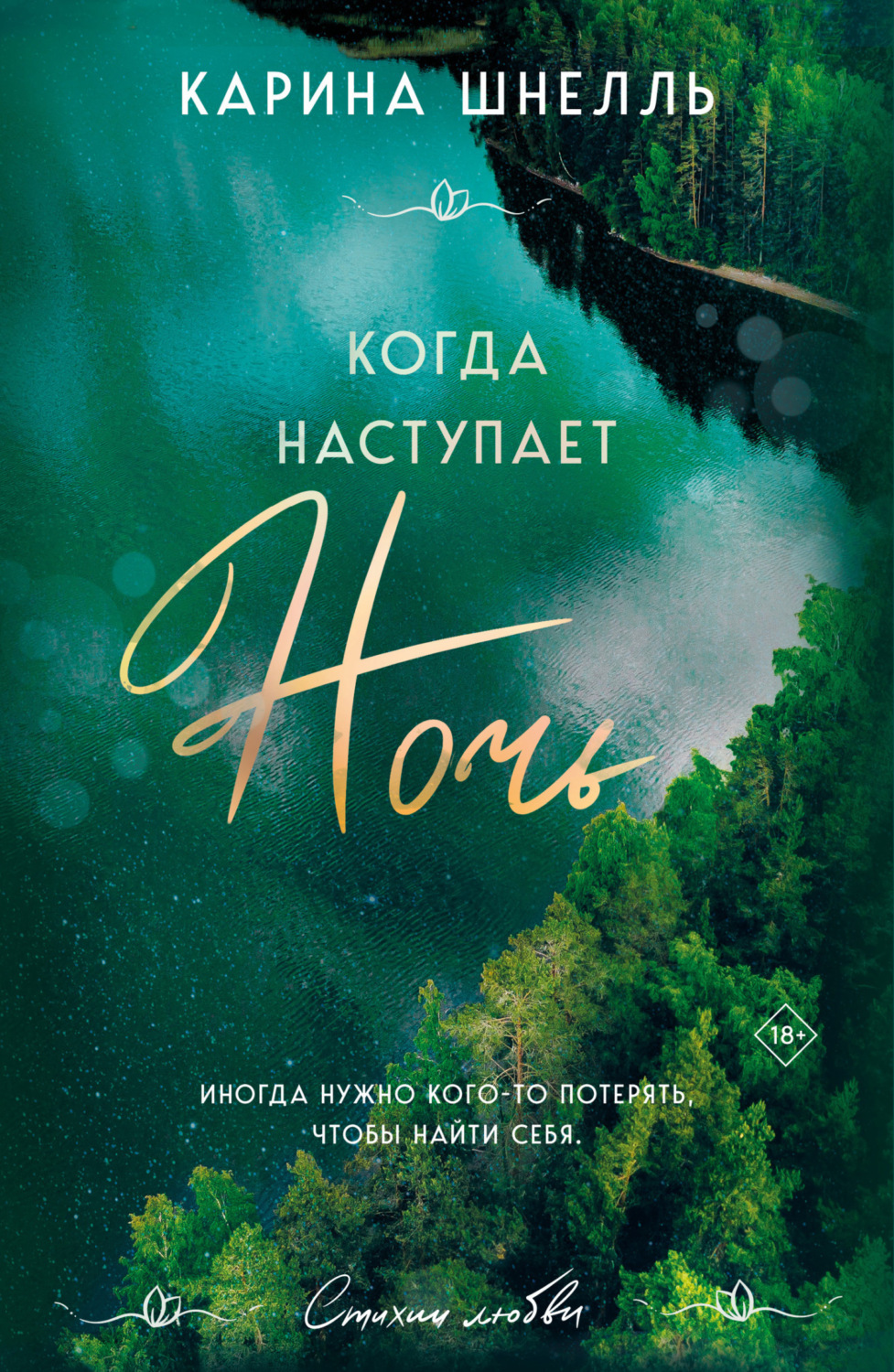 Обложка книги «Когда наступает ночь»