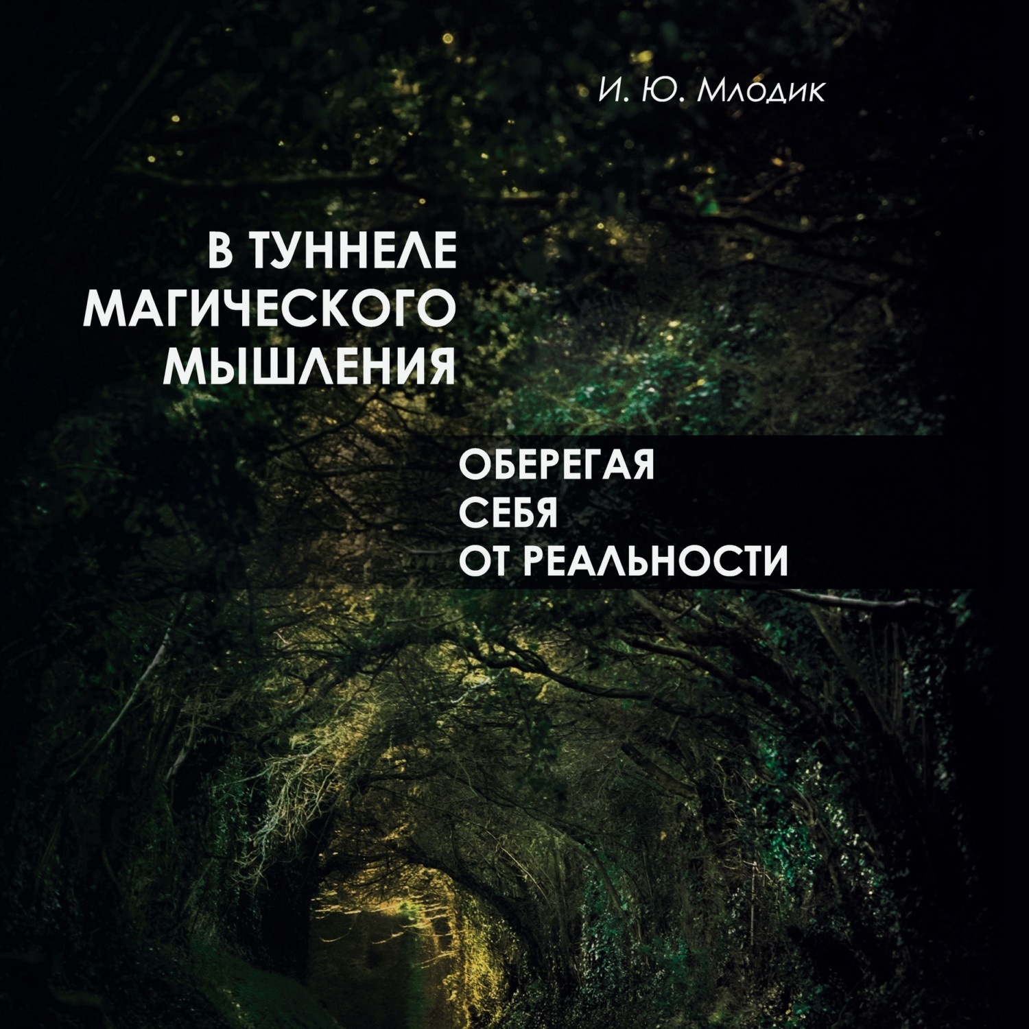 Обложка книги «В туннеле магического мышления. Оберегая себя от реальности»
