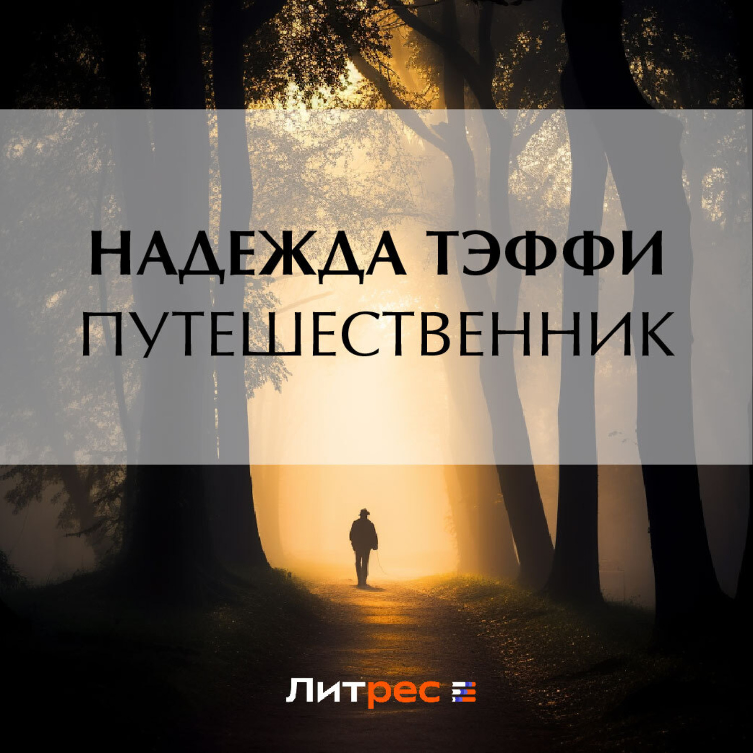 Обложка книги «Путешественник»