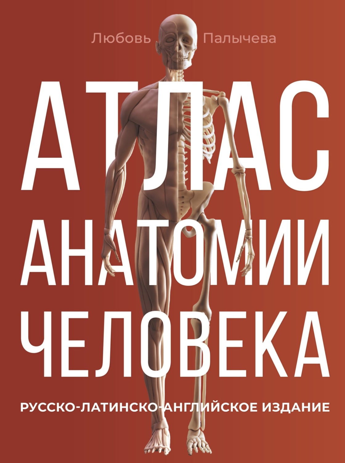 Обложка книги «Атлас анатомии человека. Русско-латинско-английское издание»