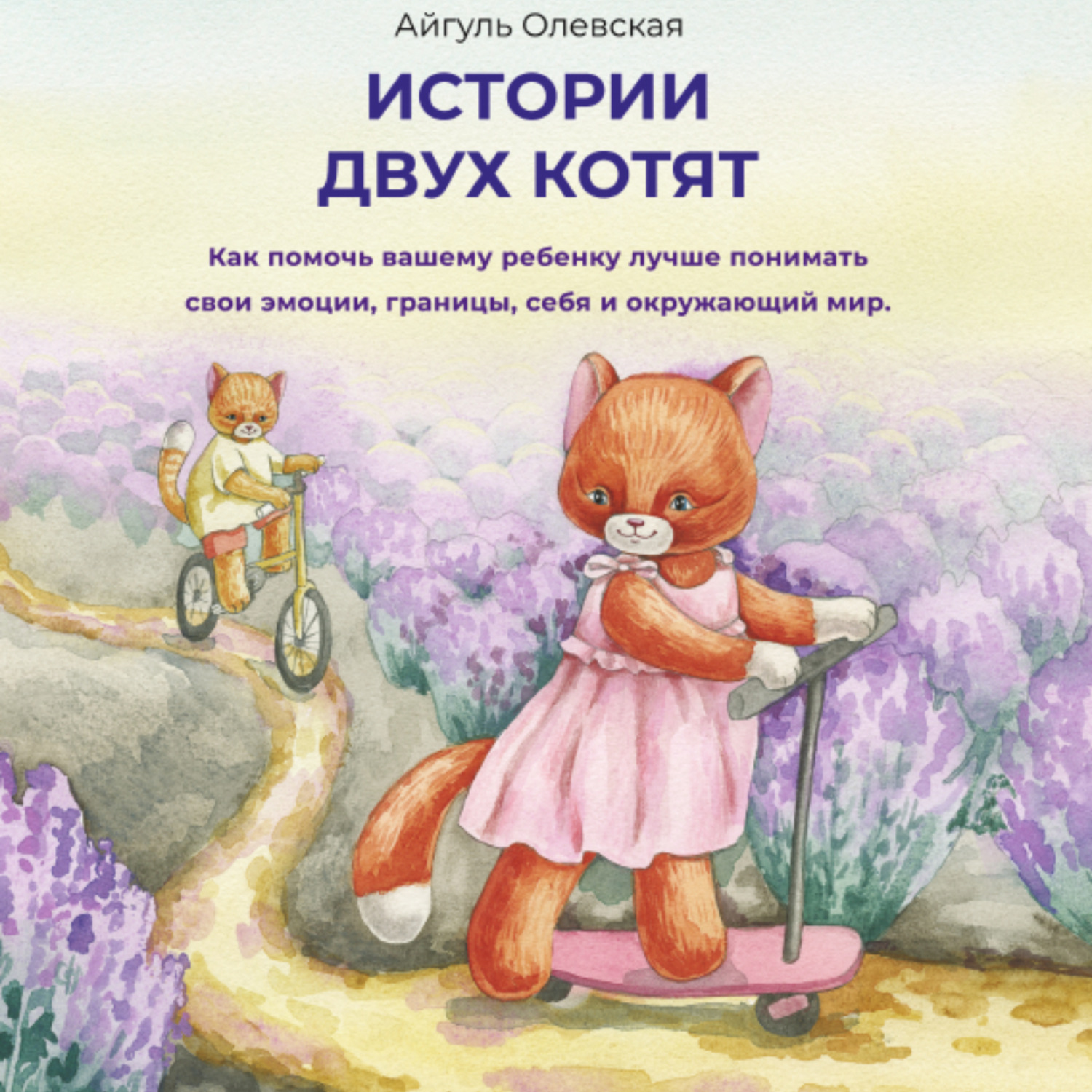 Обложка книги «Истории двух котят»