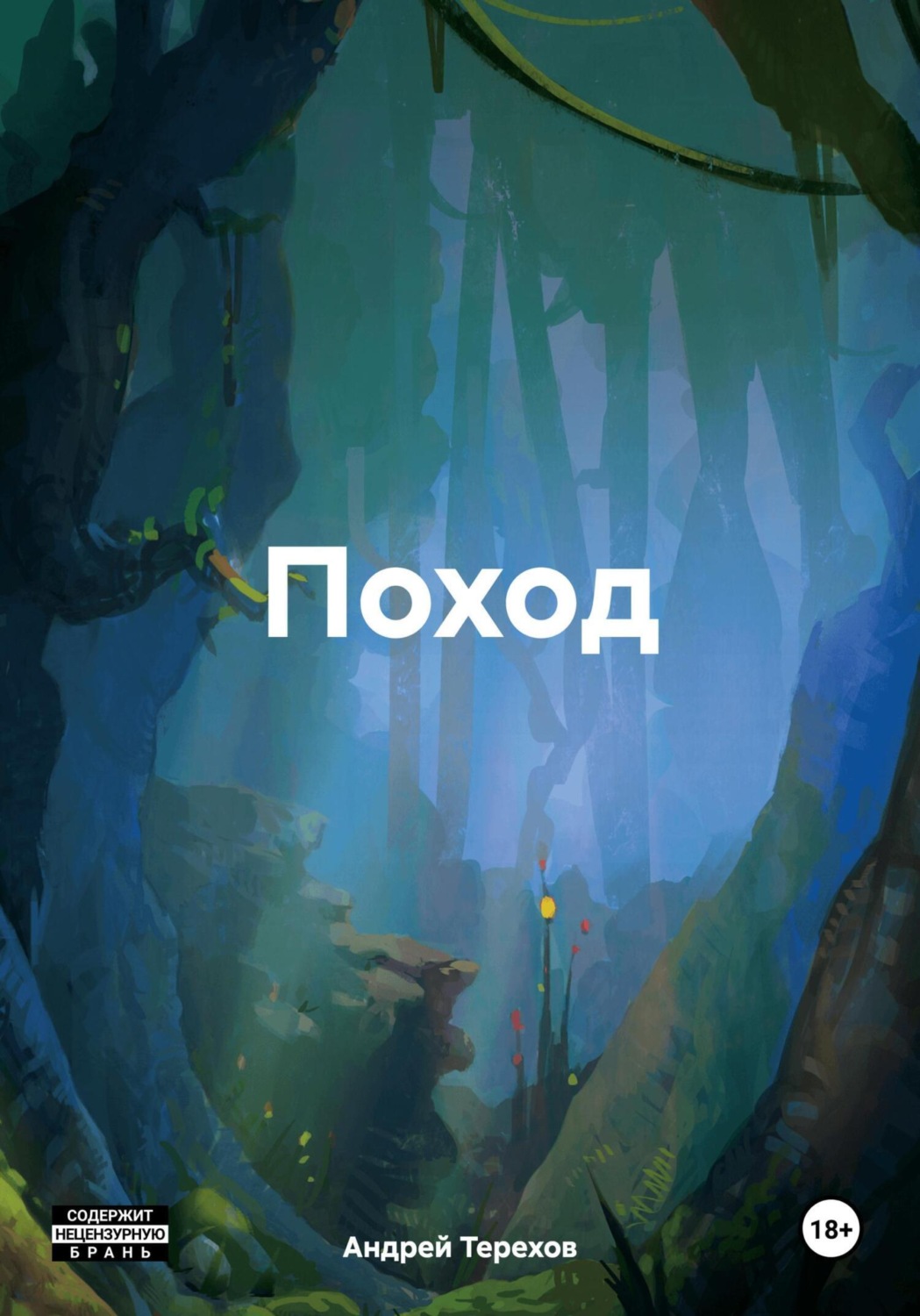 Обложка книги «Поход»