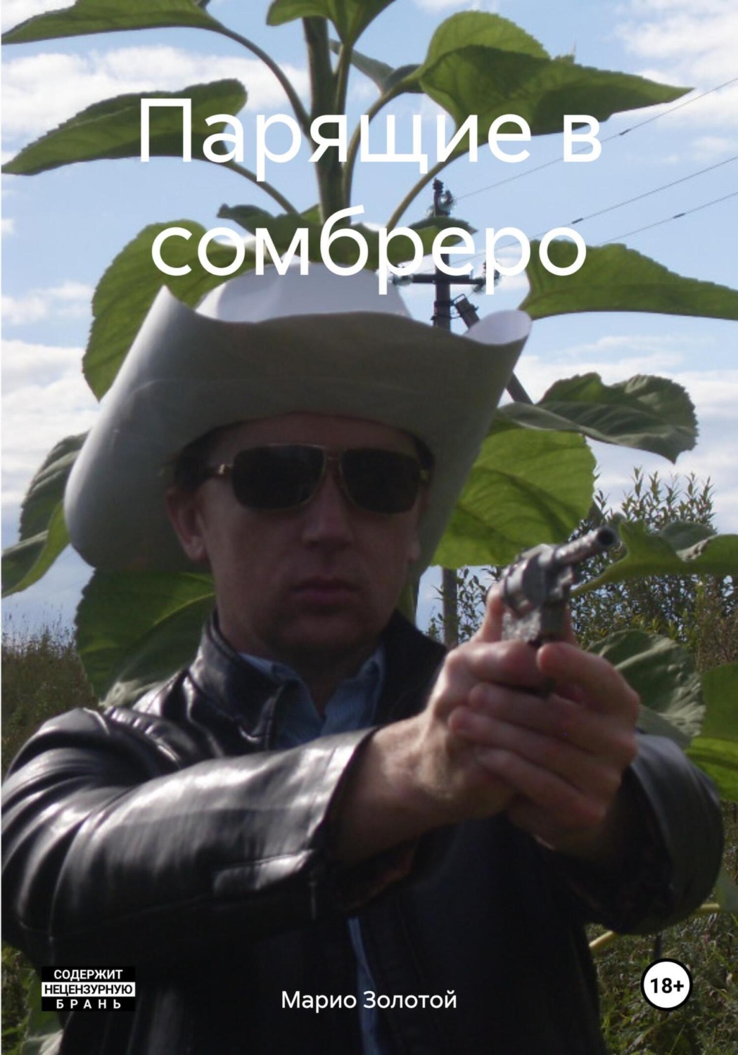 Обложка книги «Парящие в сомбреро»