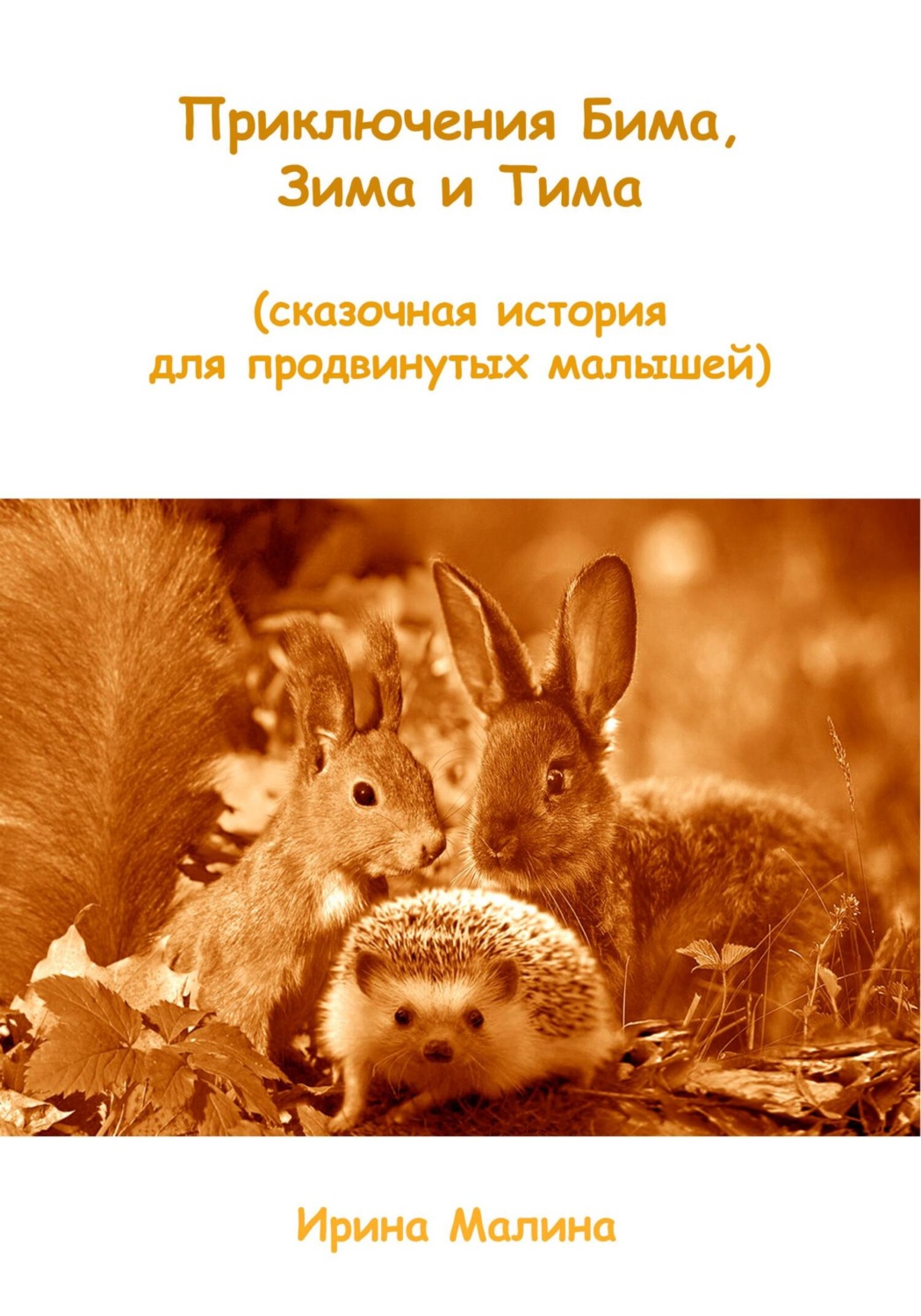 Обложка книги «Приключения Бима, Зима и Тима. Сказочная история для продвинутых малышей»