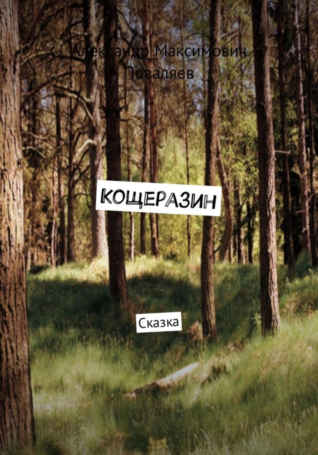 Обложка книги «Кощеразин»