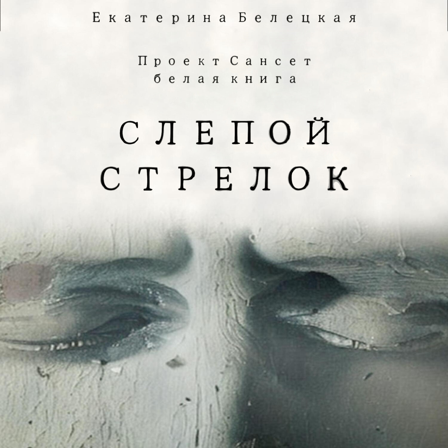 Обложка книги «Слепой стрелок»