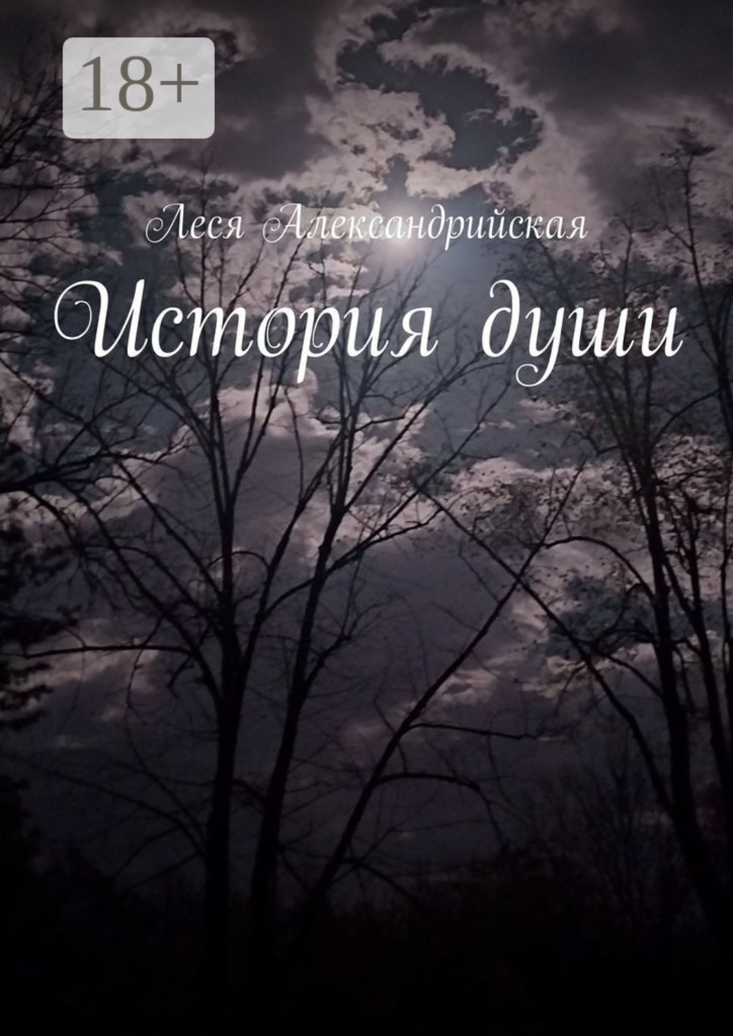 Обложка книги «История души»
