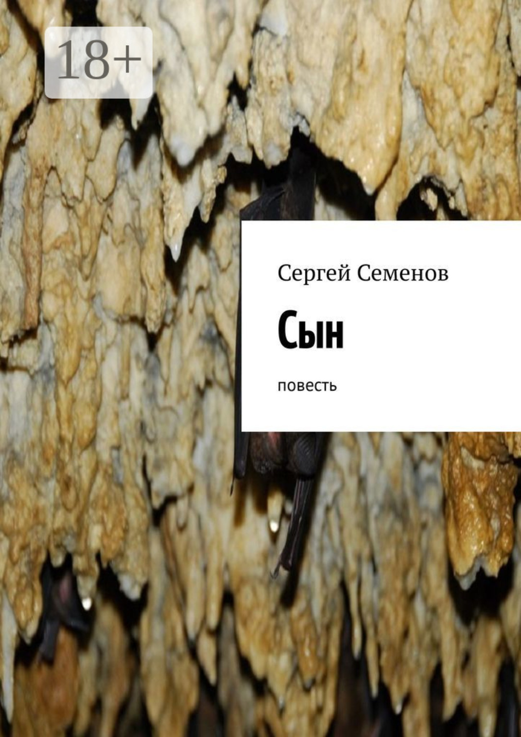 Обложка книги «Сын. Повесть»