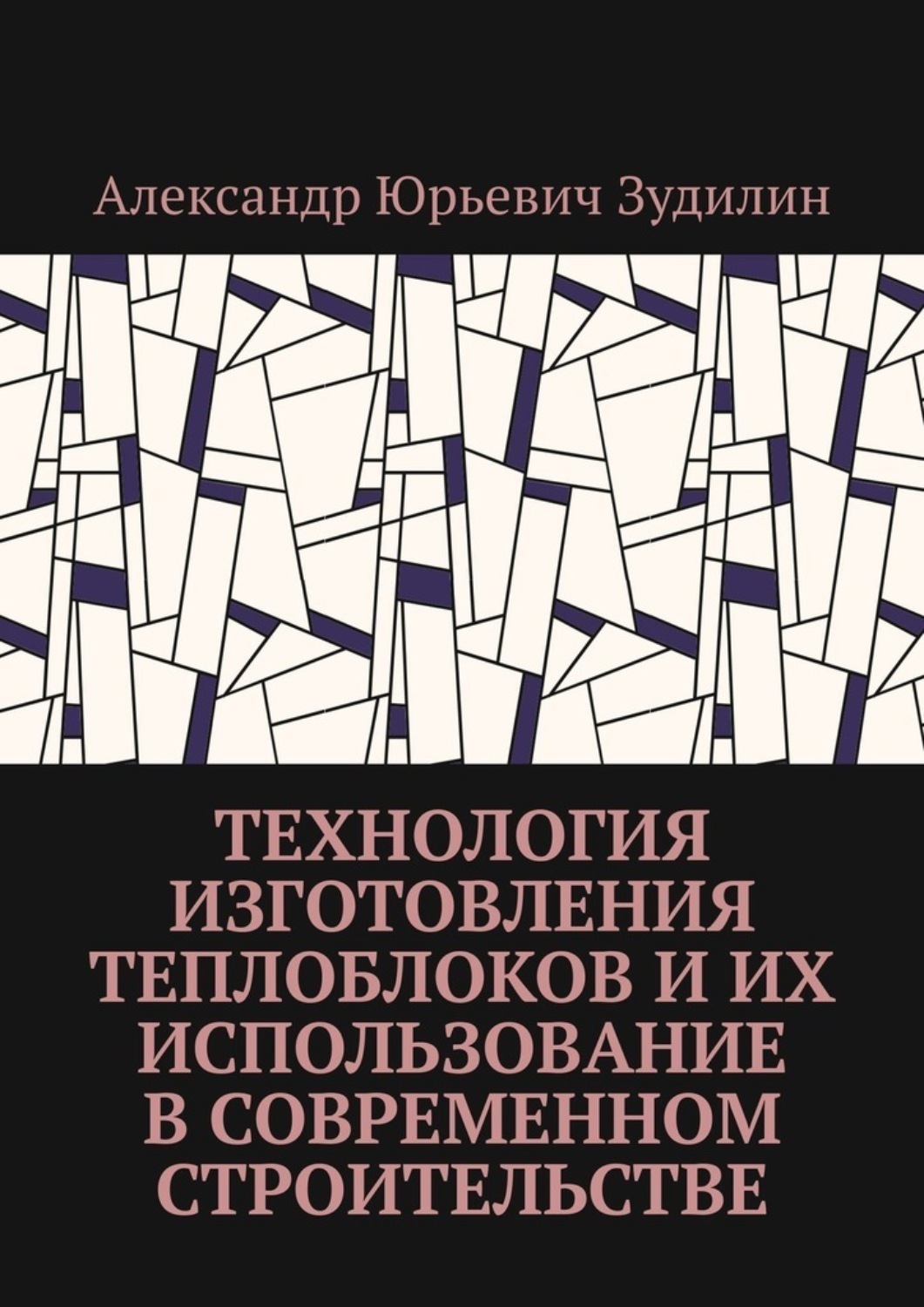 Обложка книги «Технология изготовления теплоблоков и их использование в современном строительстве»
