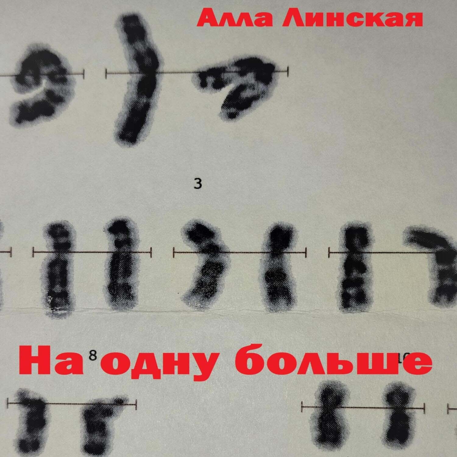 Обложка книги «На одну больше»