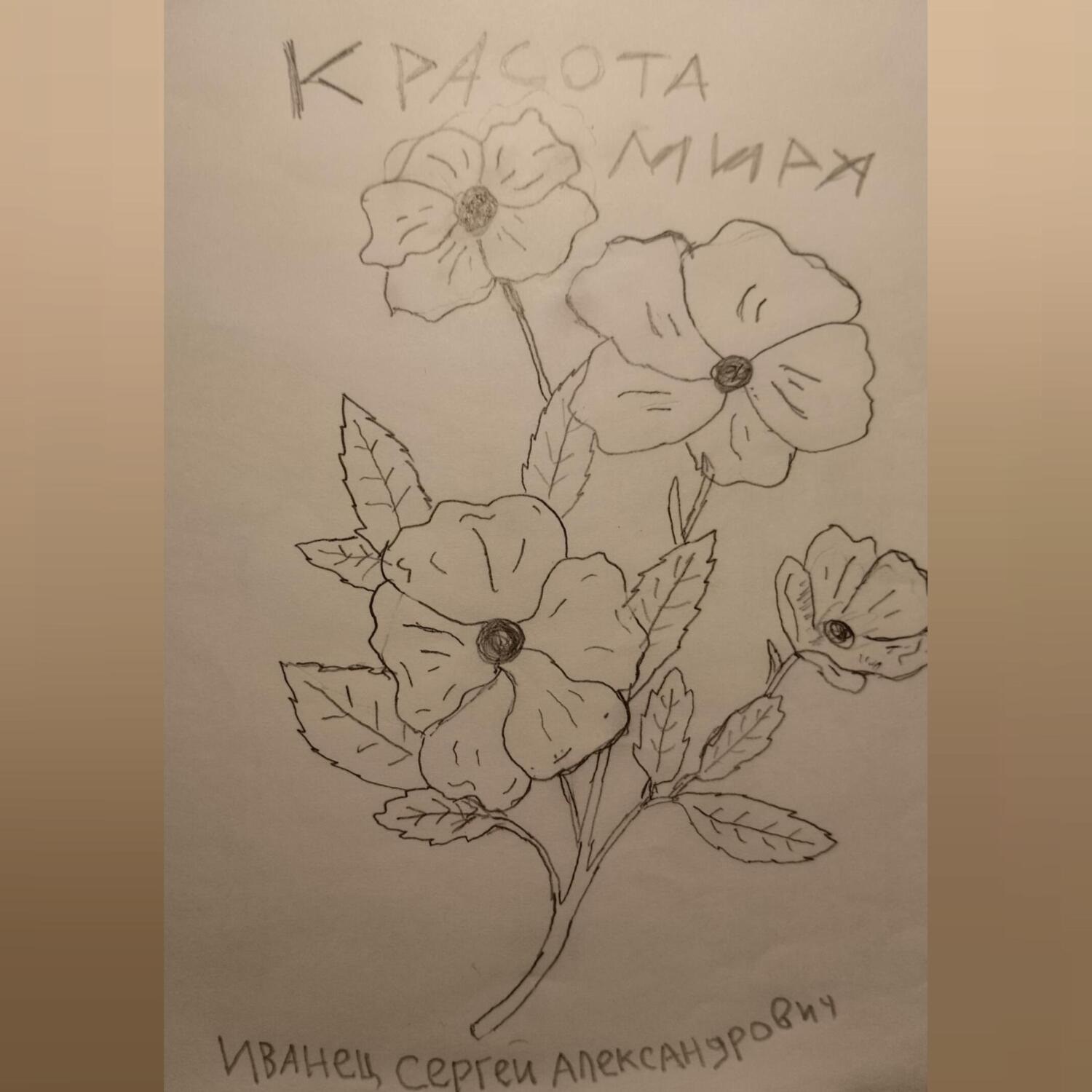 Обложка книги «Красота Мира»