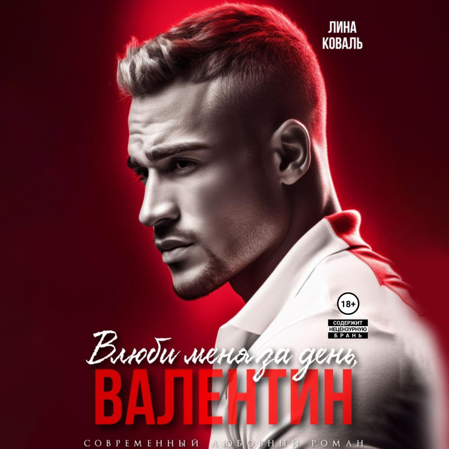 Обложка книги «Мой Валентин»
