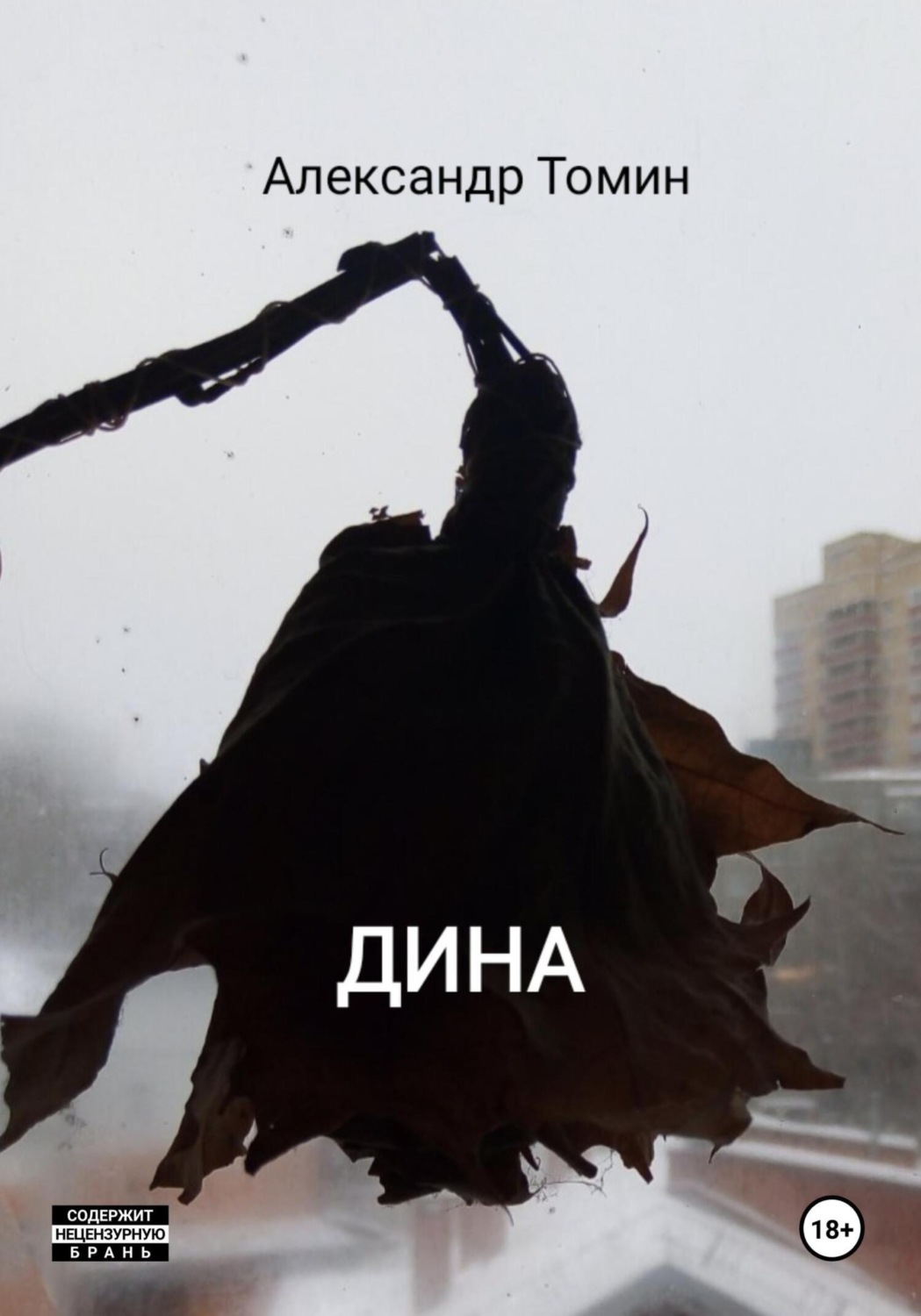 Обложка книги «Дина»