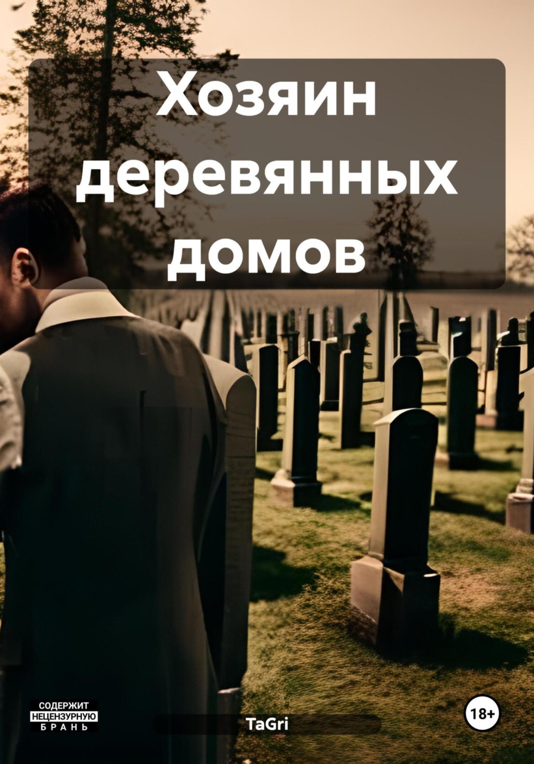 Обложка книги «Хозяин деревянных домов»
