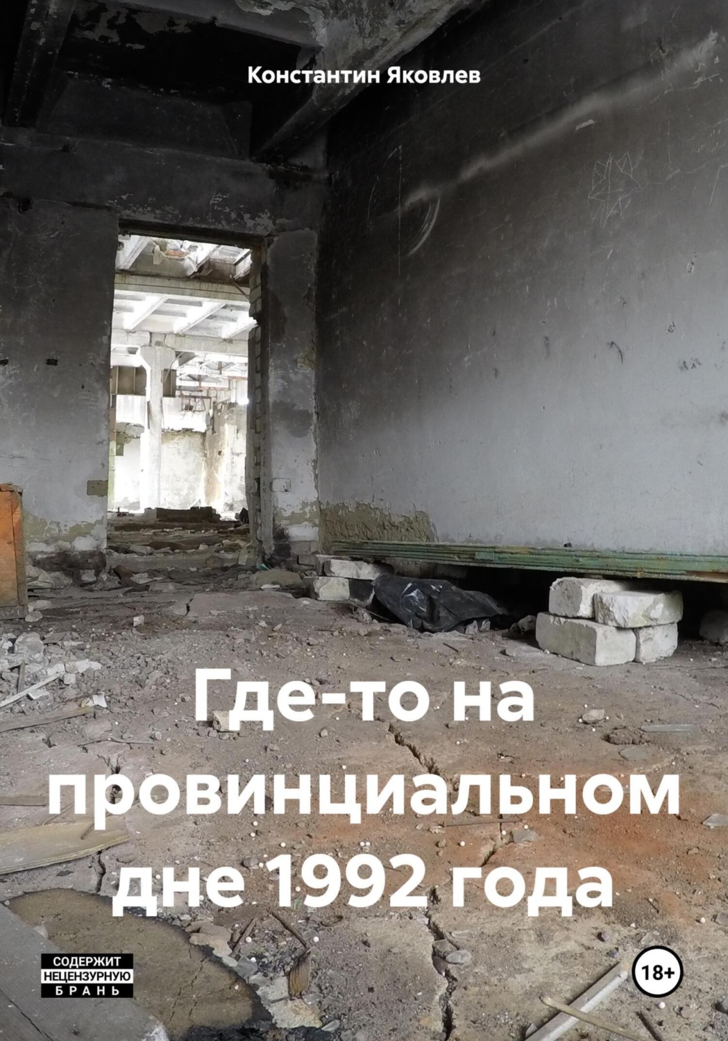 Обложка книги «Где-то на провинциальном дне 1992 года»
