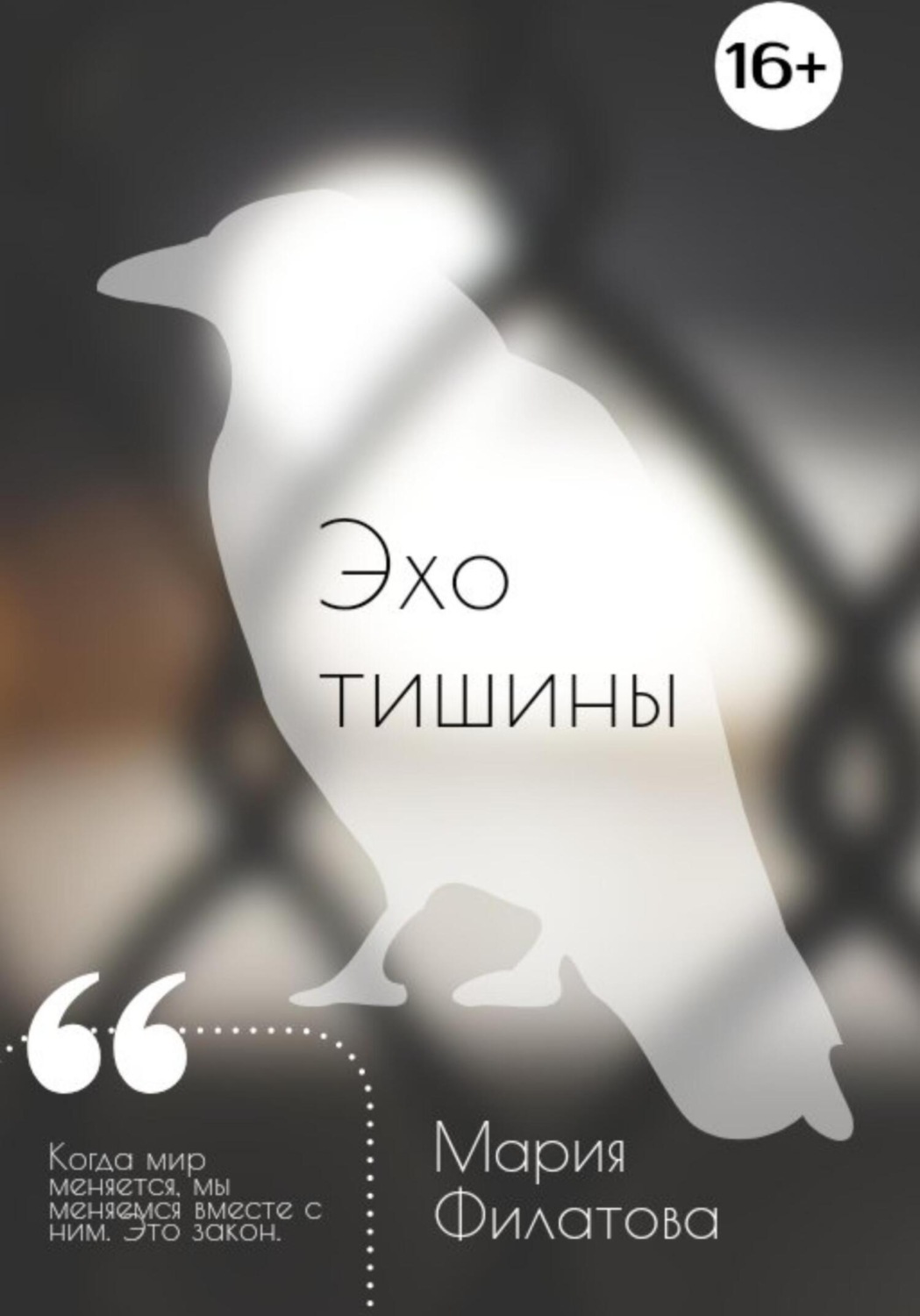 Обложка книги «Эхо тишины»