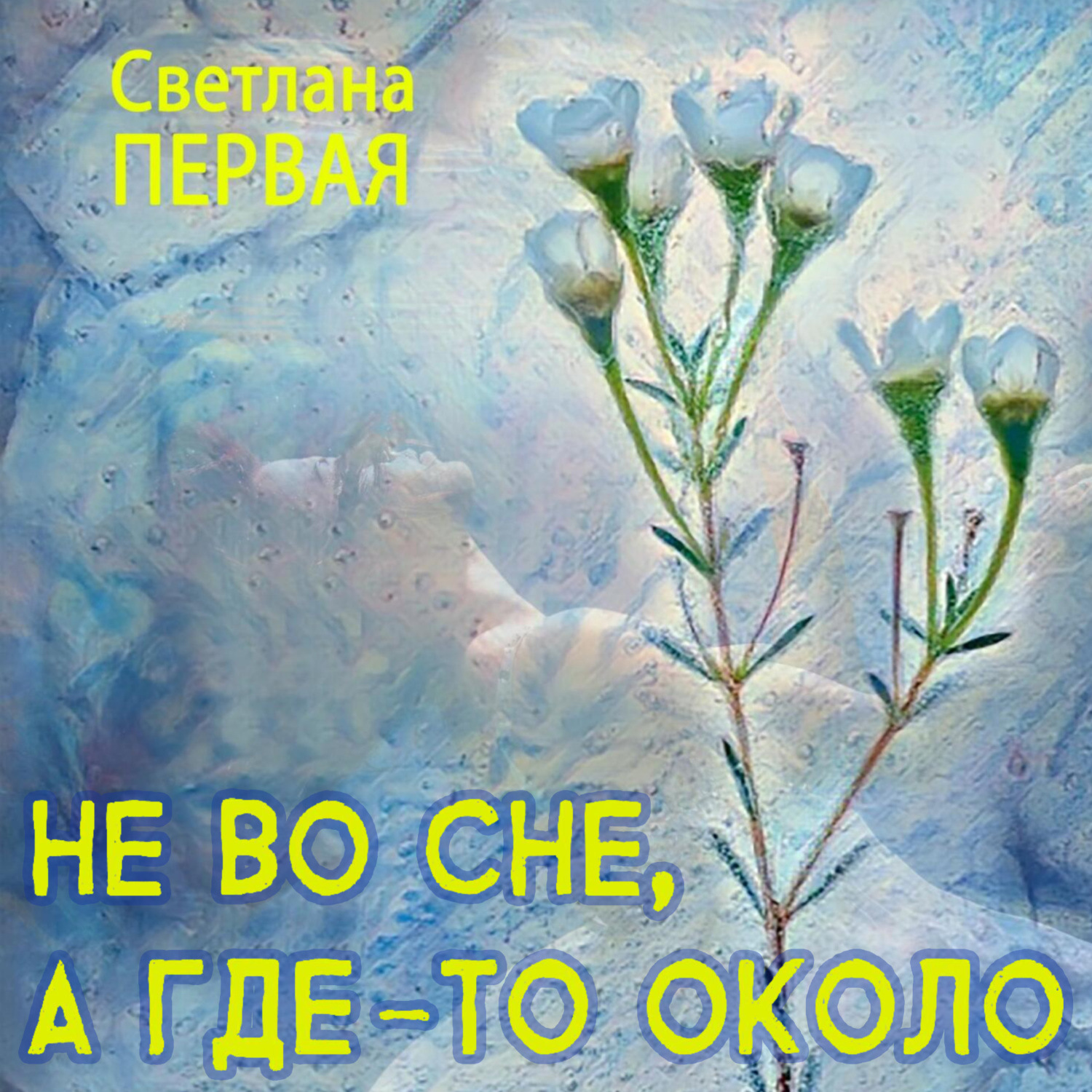 Обложка книги «Не во сне, а где-то около»