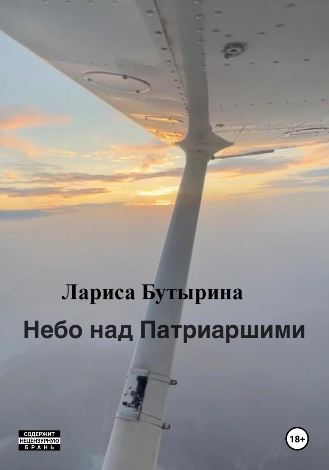 Обложка книги «Небо над Патриаршими»