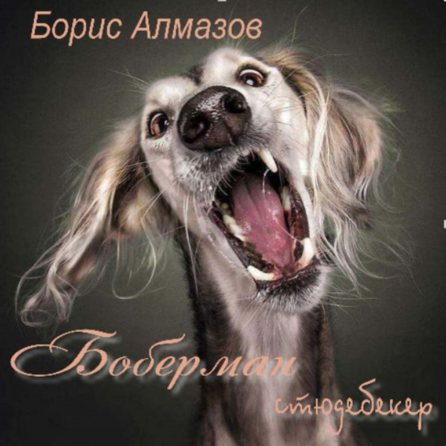 Обложка книги «Боберман- стюдебекер»