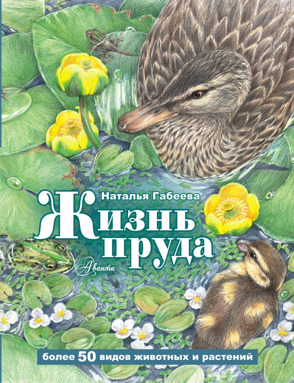 Обложка книги «Жизнь пруда»