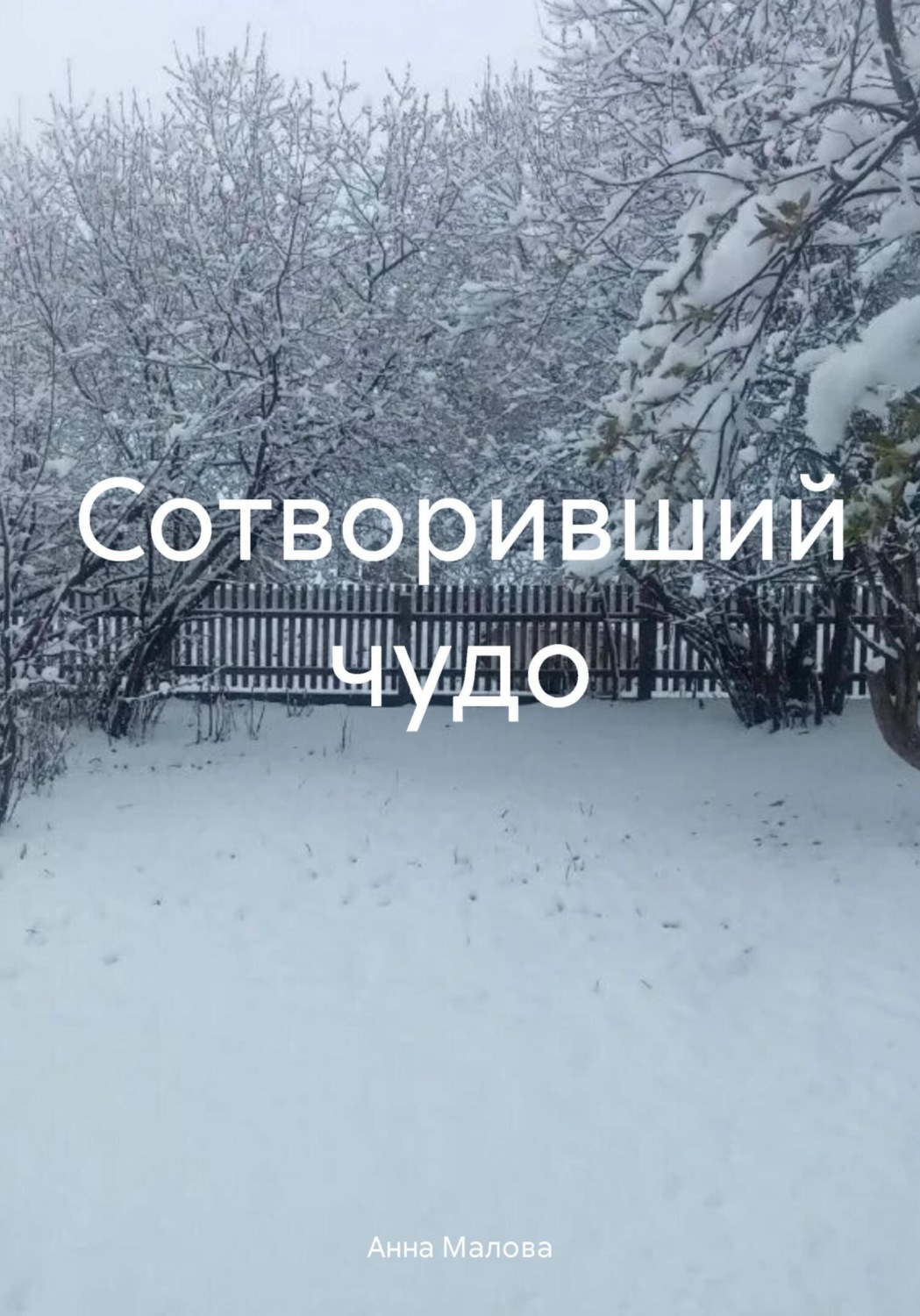 Обложка книги «Сотворивший чудо»