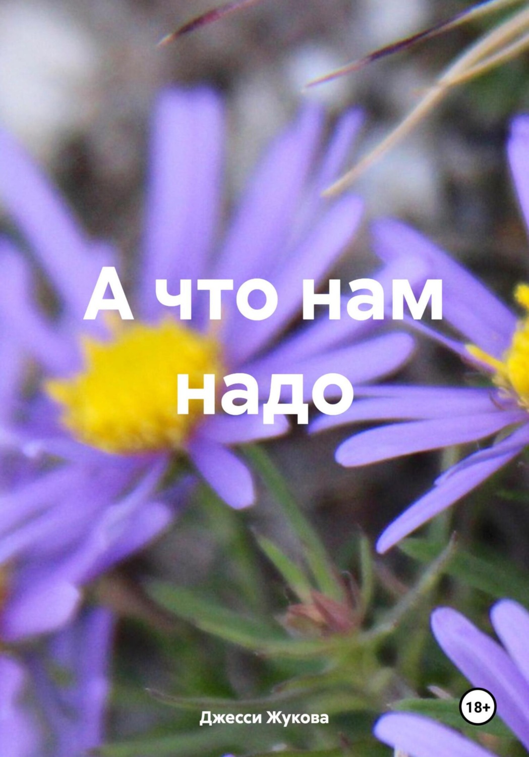 Обложка книги «А что нам надо»