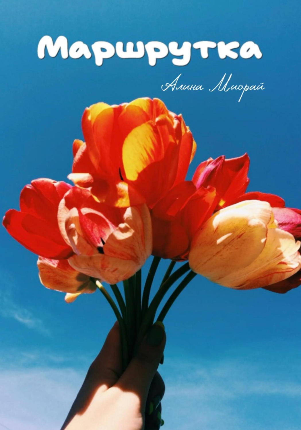 Обложка книги «Маршрутка»