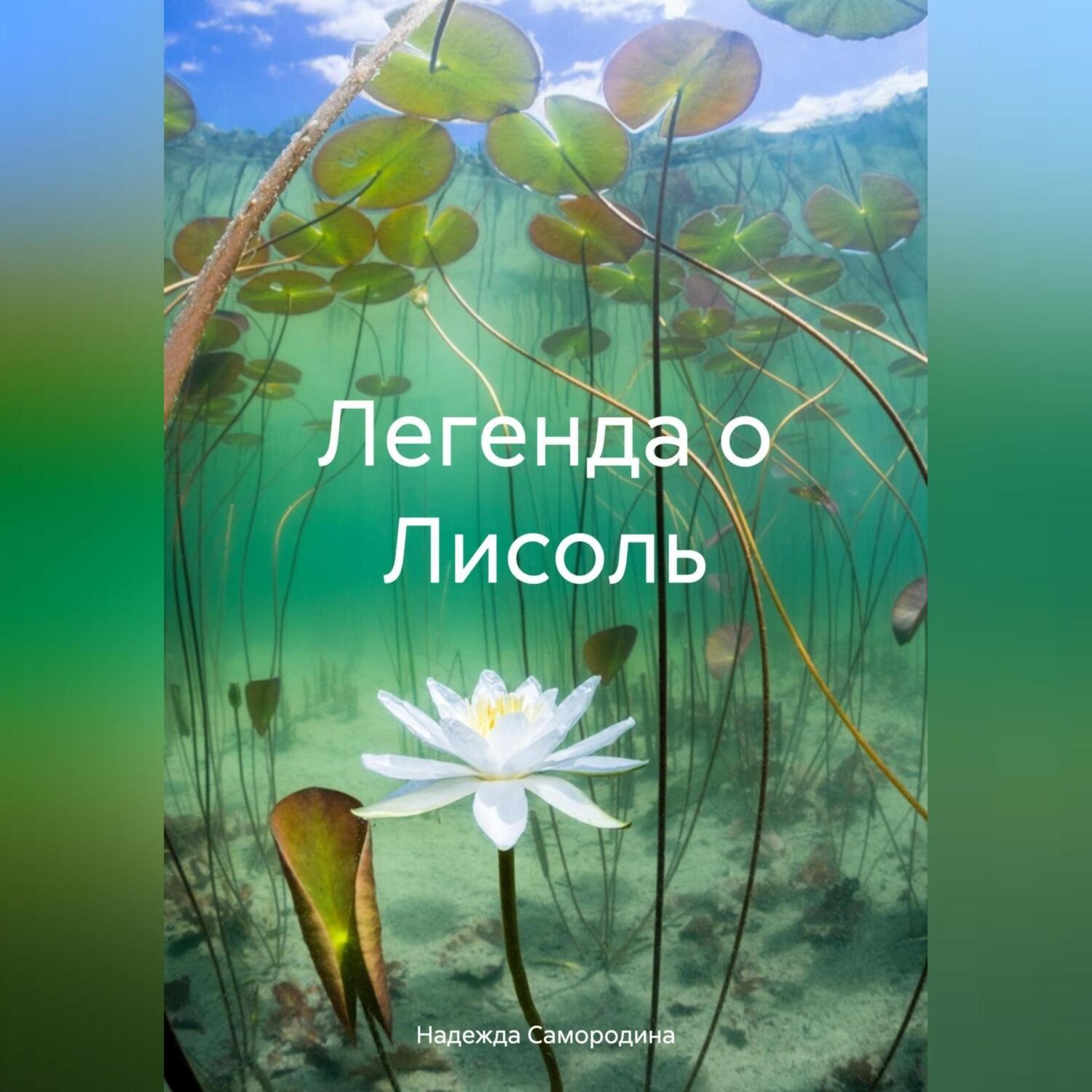 Обложка книги «Легенда о Лисоль»