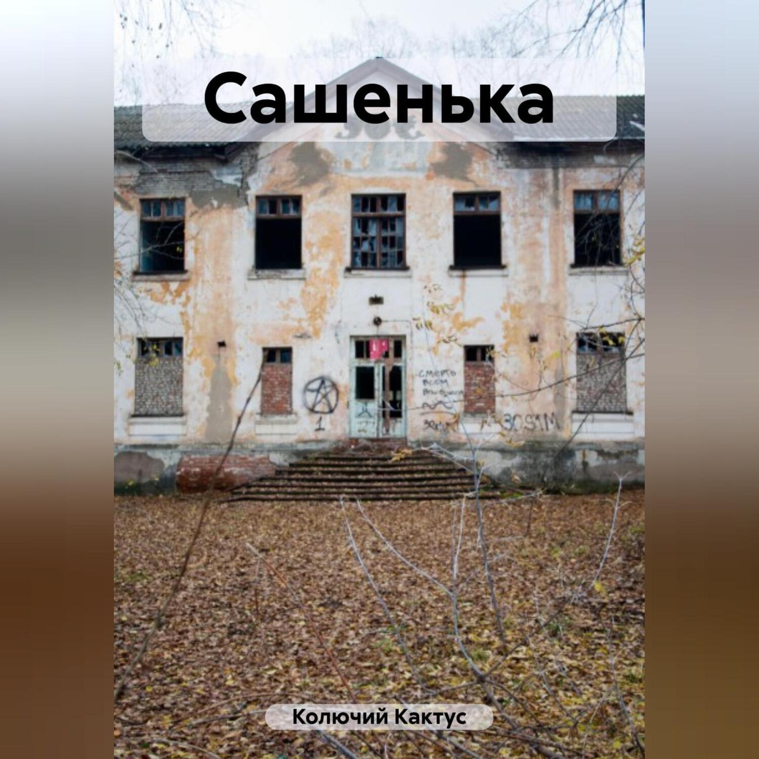 Обложка книги «Сашенька»