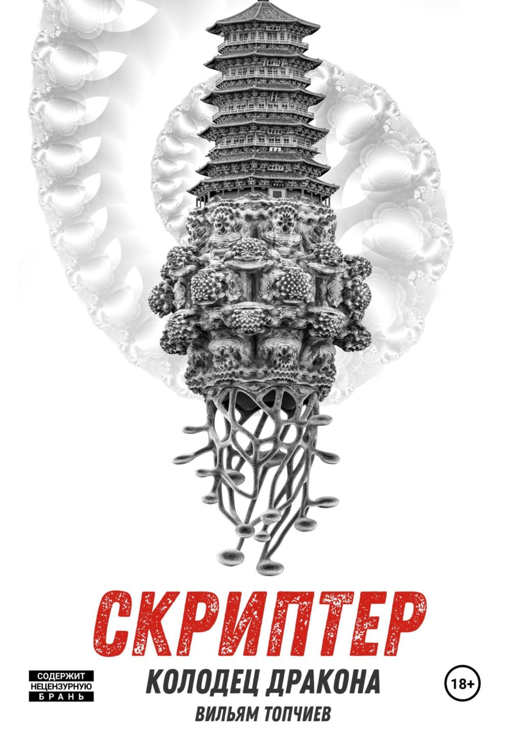 Обложка книги «Скриптер. Колодец Дракона»