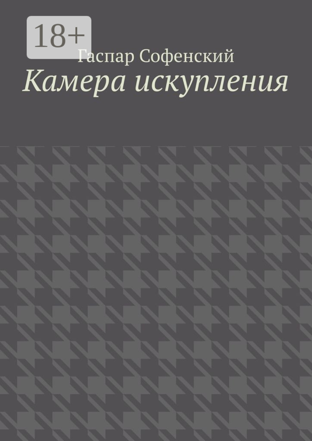 Обложка книги «Камера искупления»