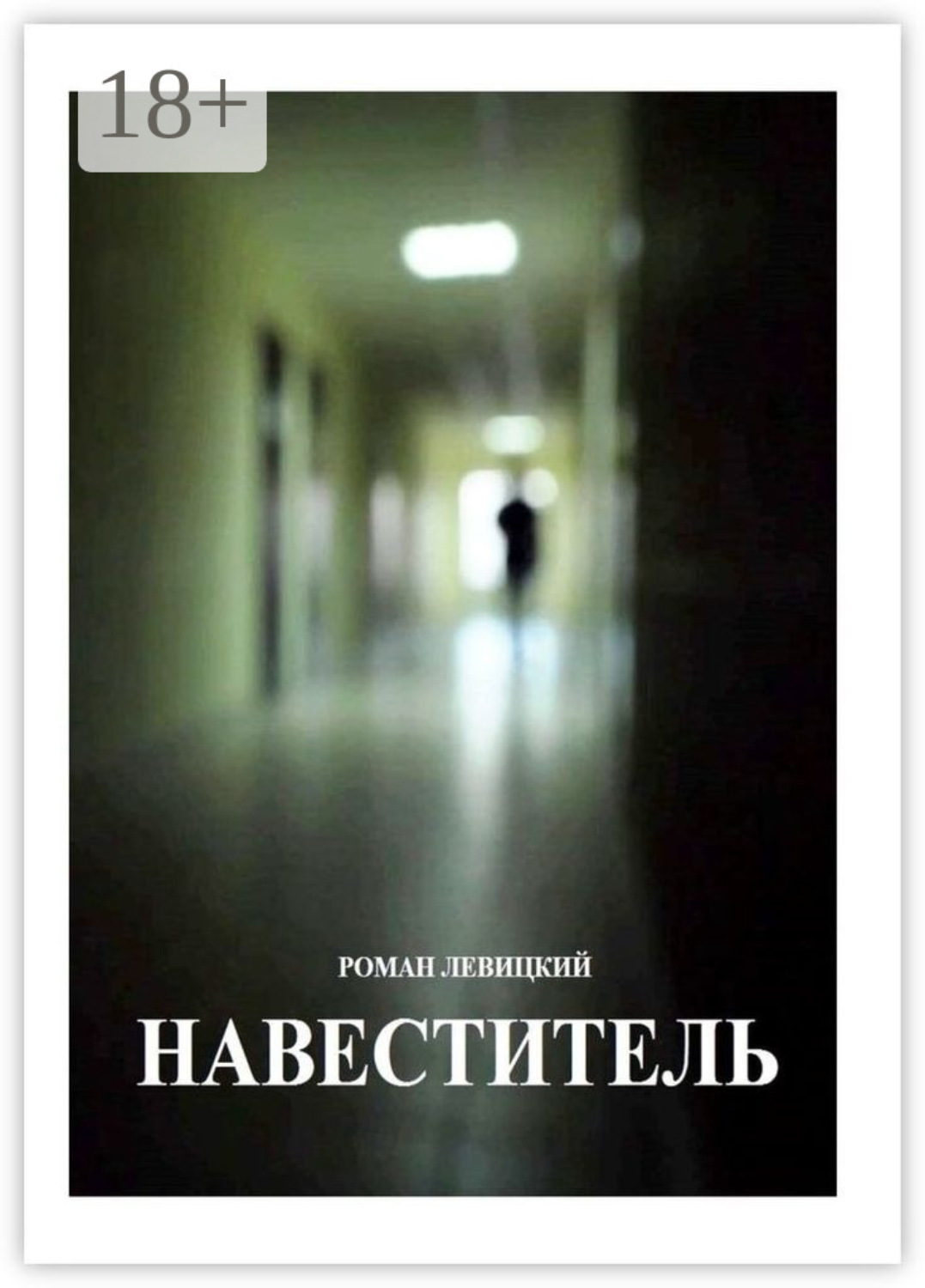 Обложка книги «Навеститель»